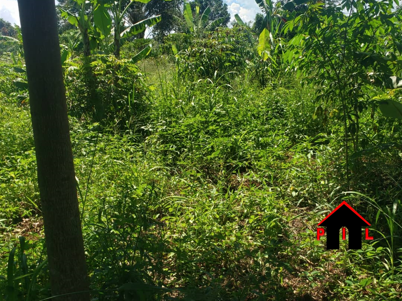 Agricultural Land for sale in Wakataayi Luweero