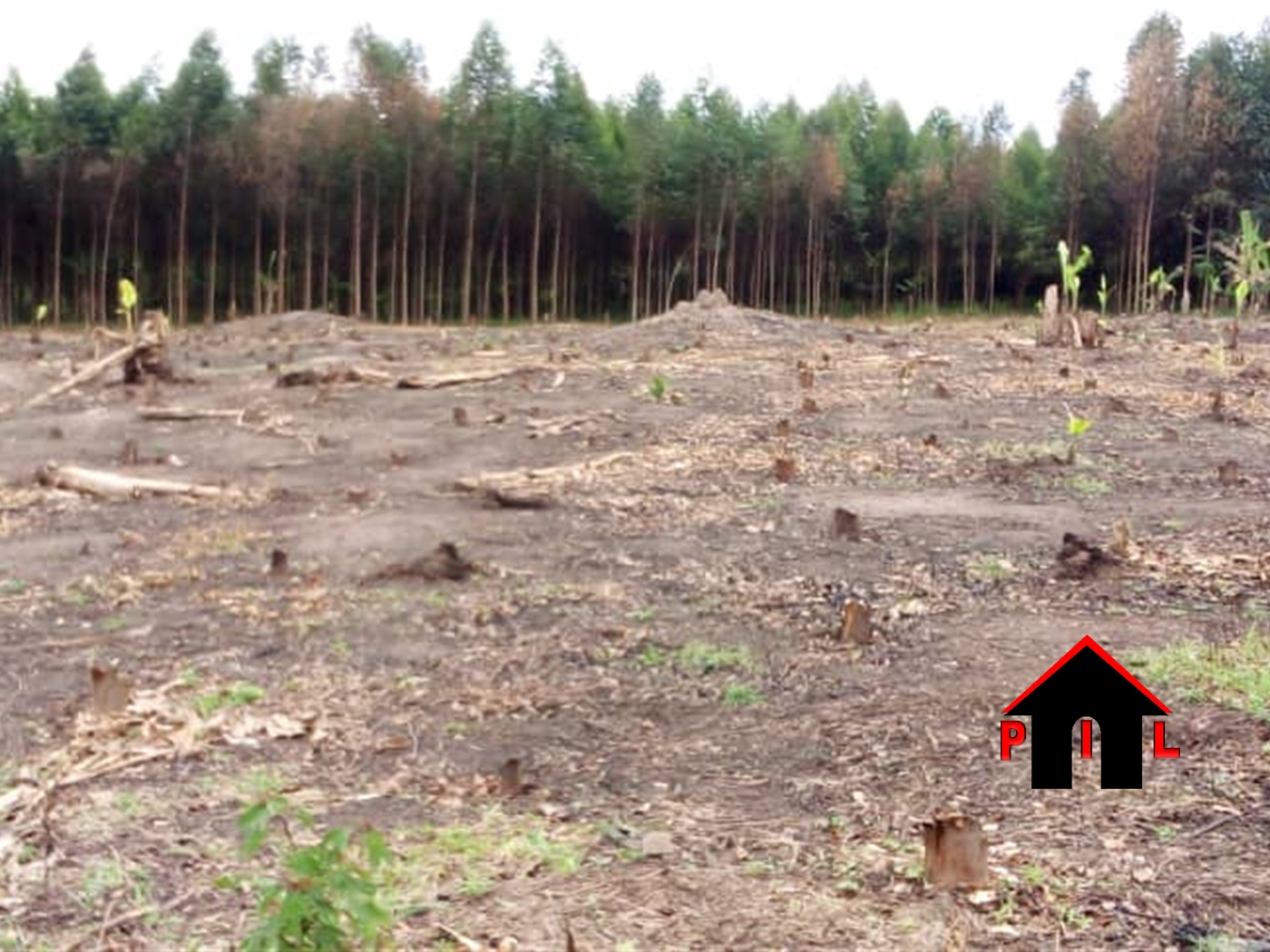 Residential Land for sale in Ngaara Mbarara