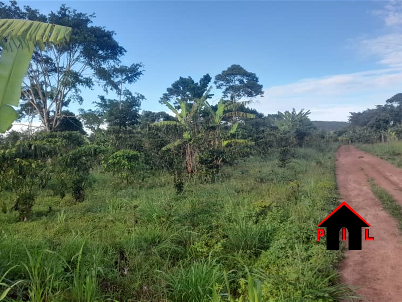 Agricultural Land for sale in Kakuuto Luweero