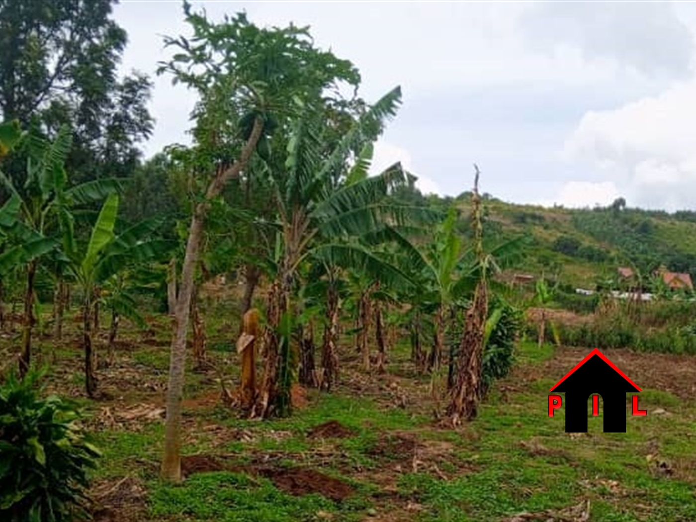 Residential Land for sale in Nyabuhama Mbarara