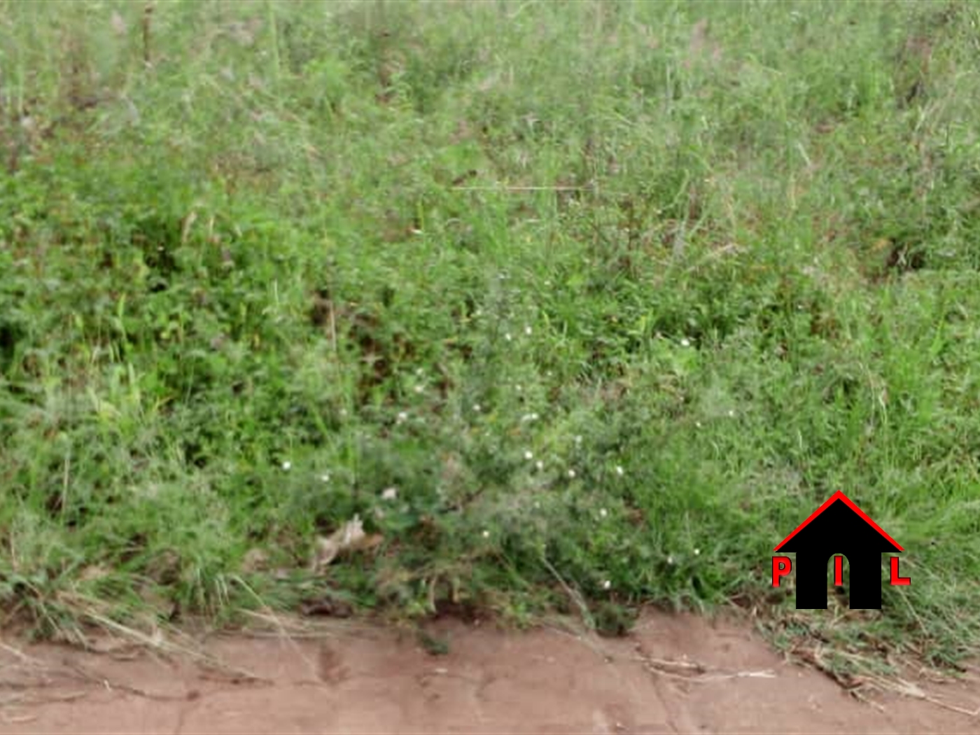 Agricultural Land for sale in Kengyeya Mbarara