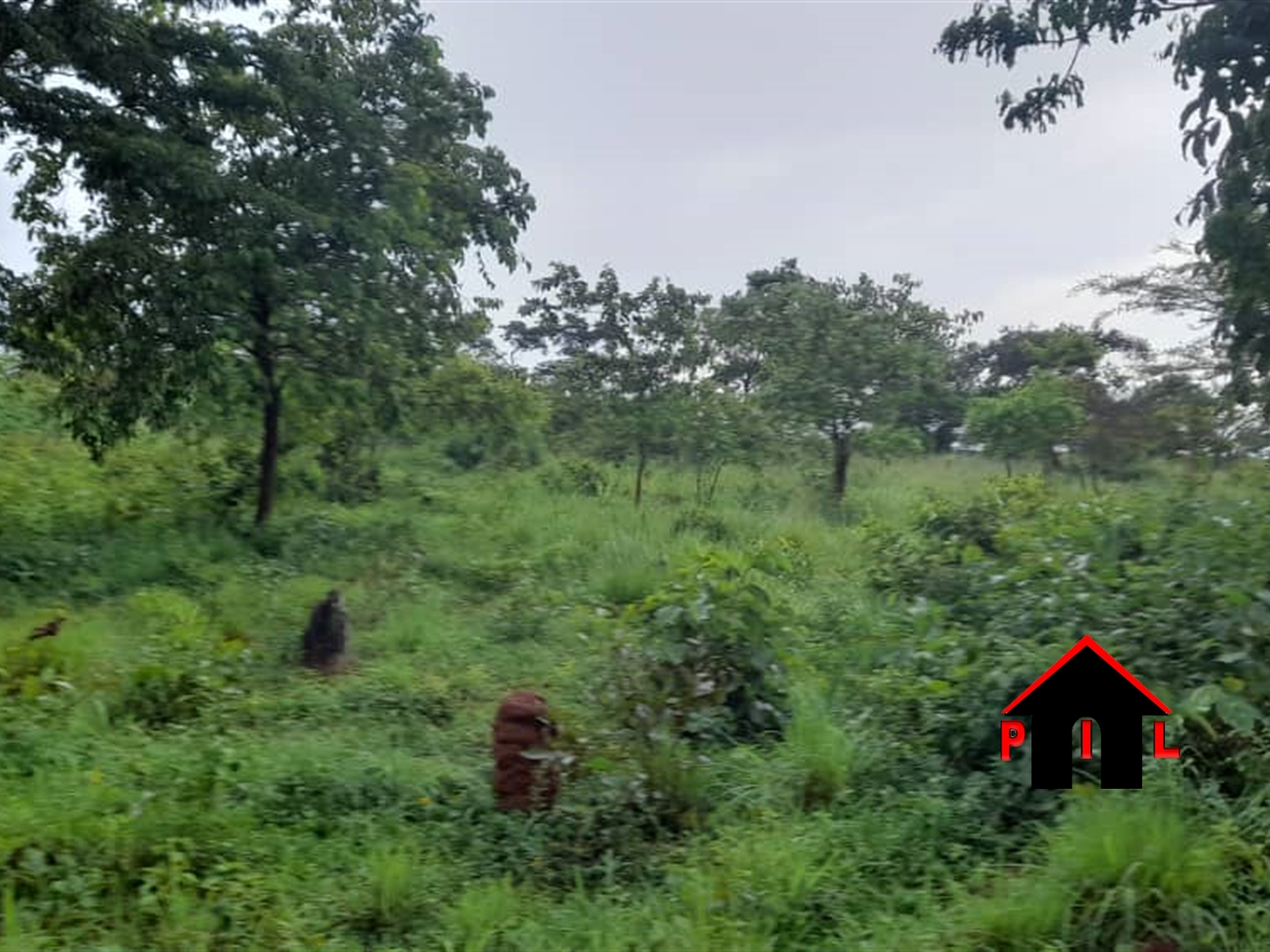 Agricultural Land for sale in Ndibulungi Luweero