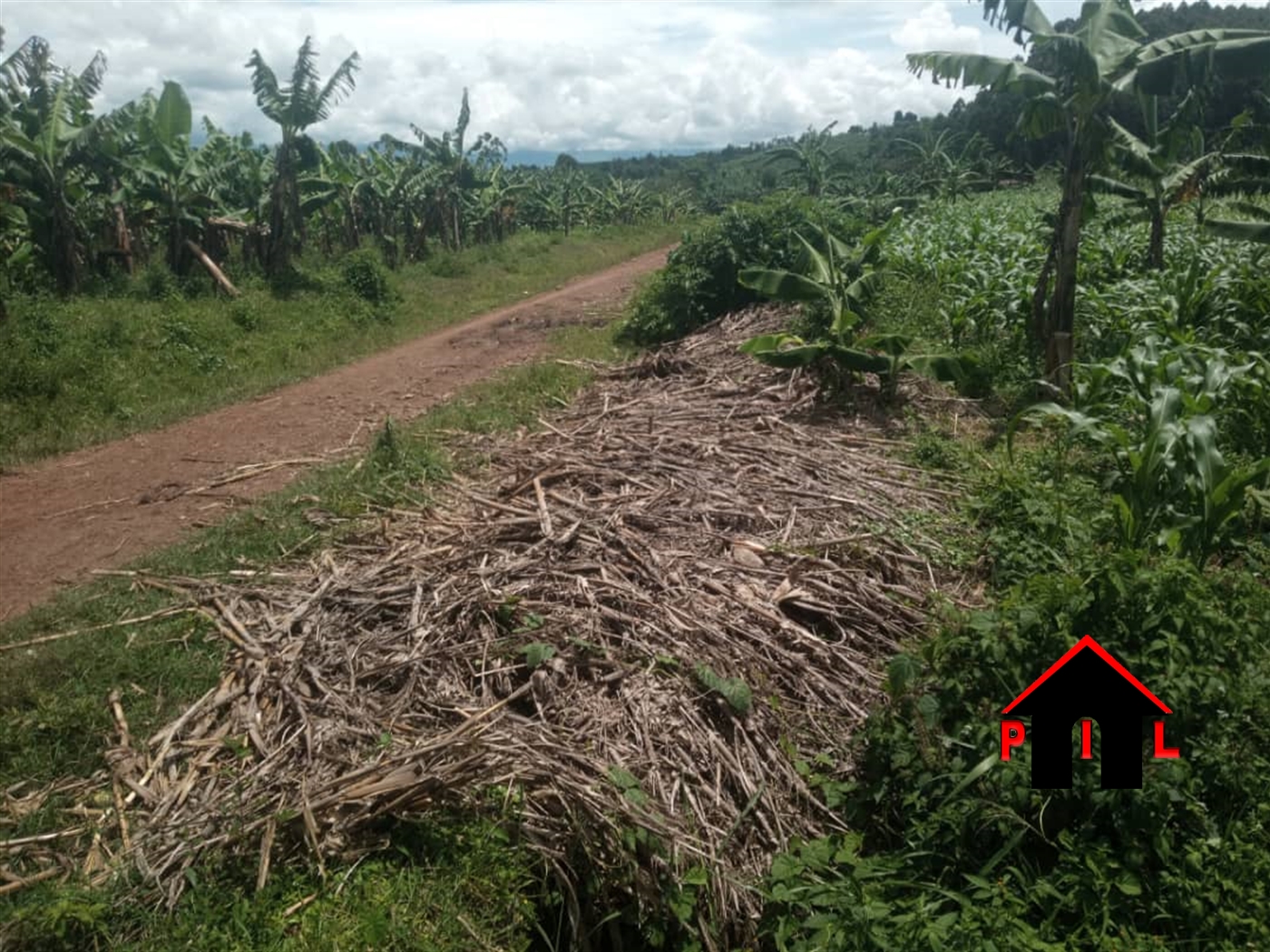 Agricultural Land for sale in Rwaihamba Kabarole