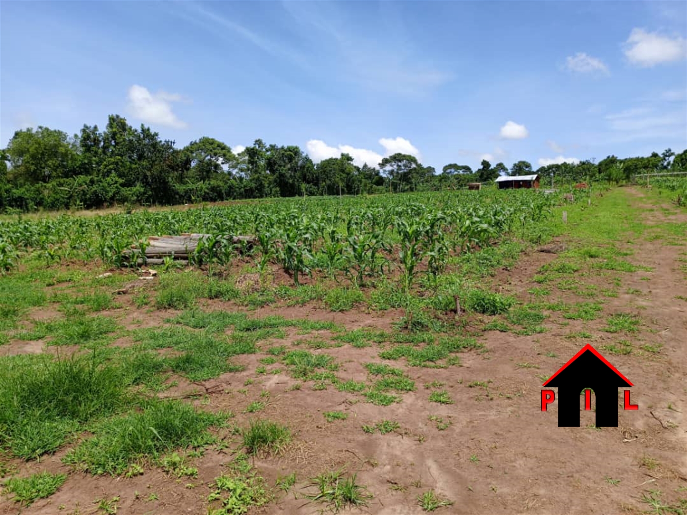 Residential Land for sale in Matugga Wakiso