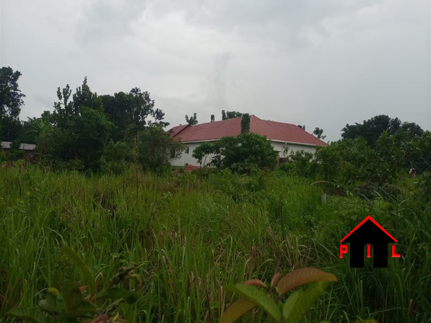 Commercial Land for sale in Ssanga Wakiso