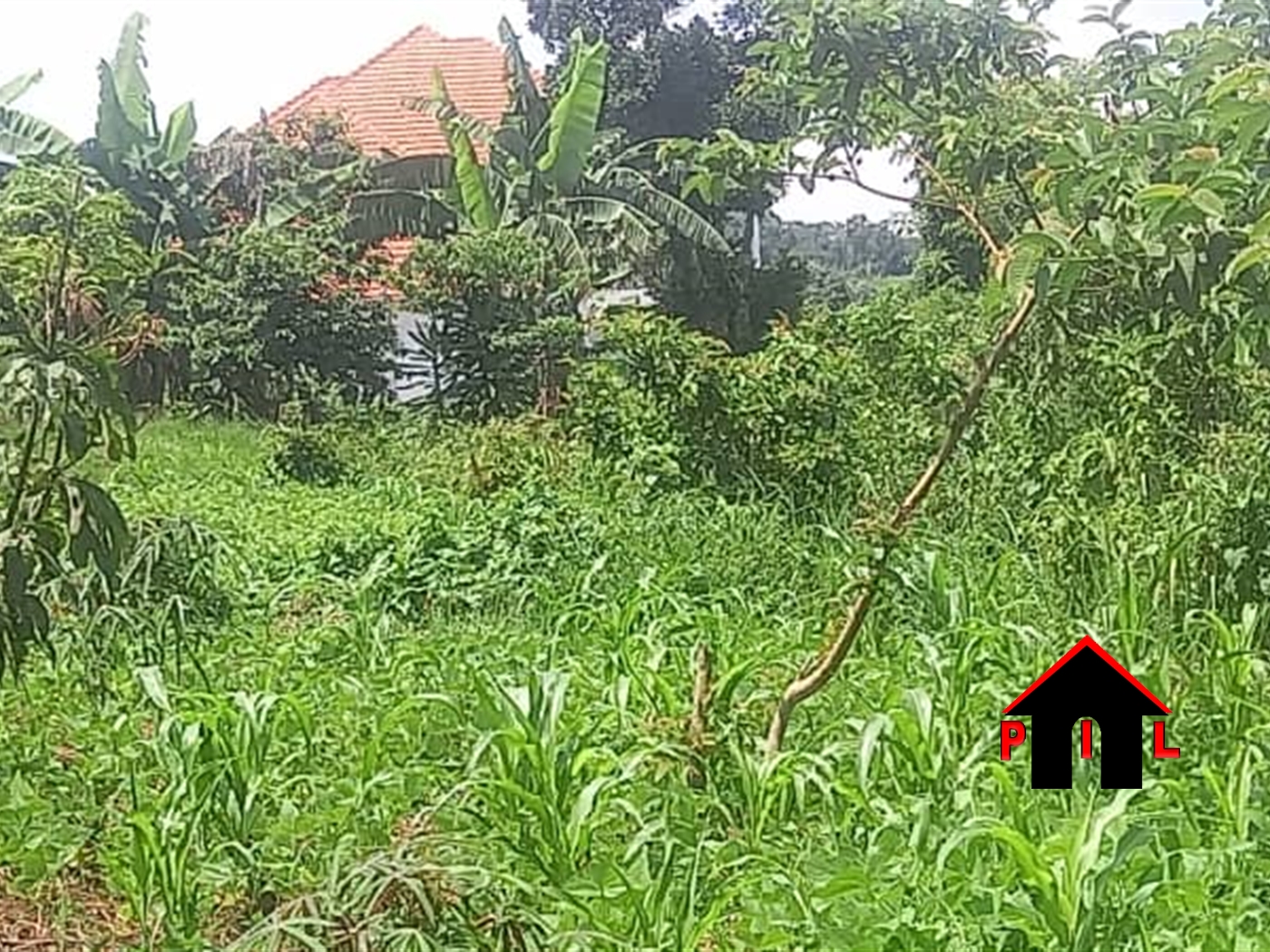 Residential Land for sale in Saga Wakiso