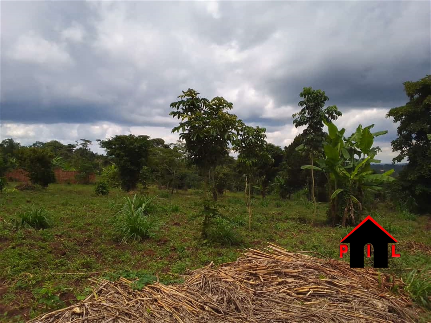 Commercial Land for sale in Kantale Kabaale