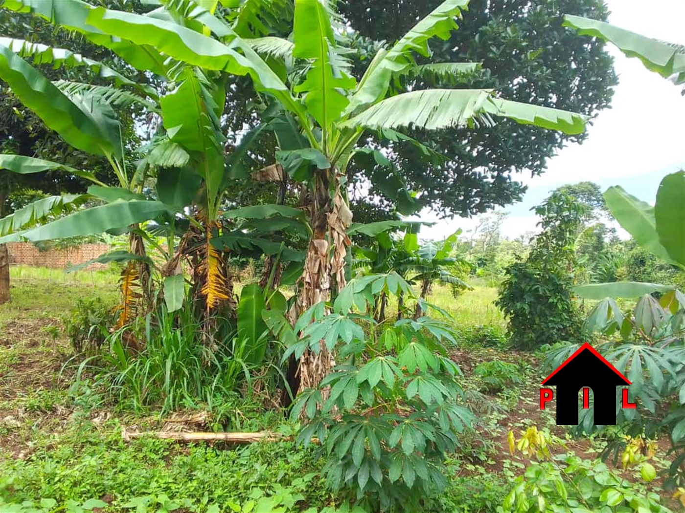 Commercial Land for sale in Kantale Kabaale