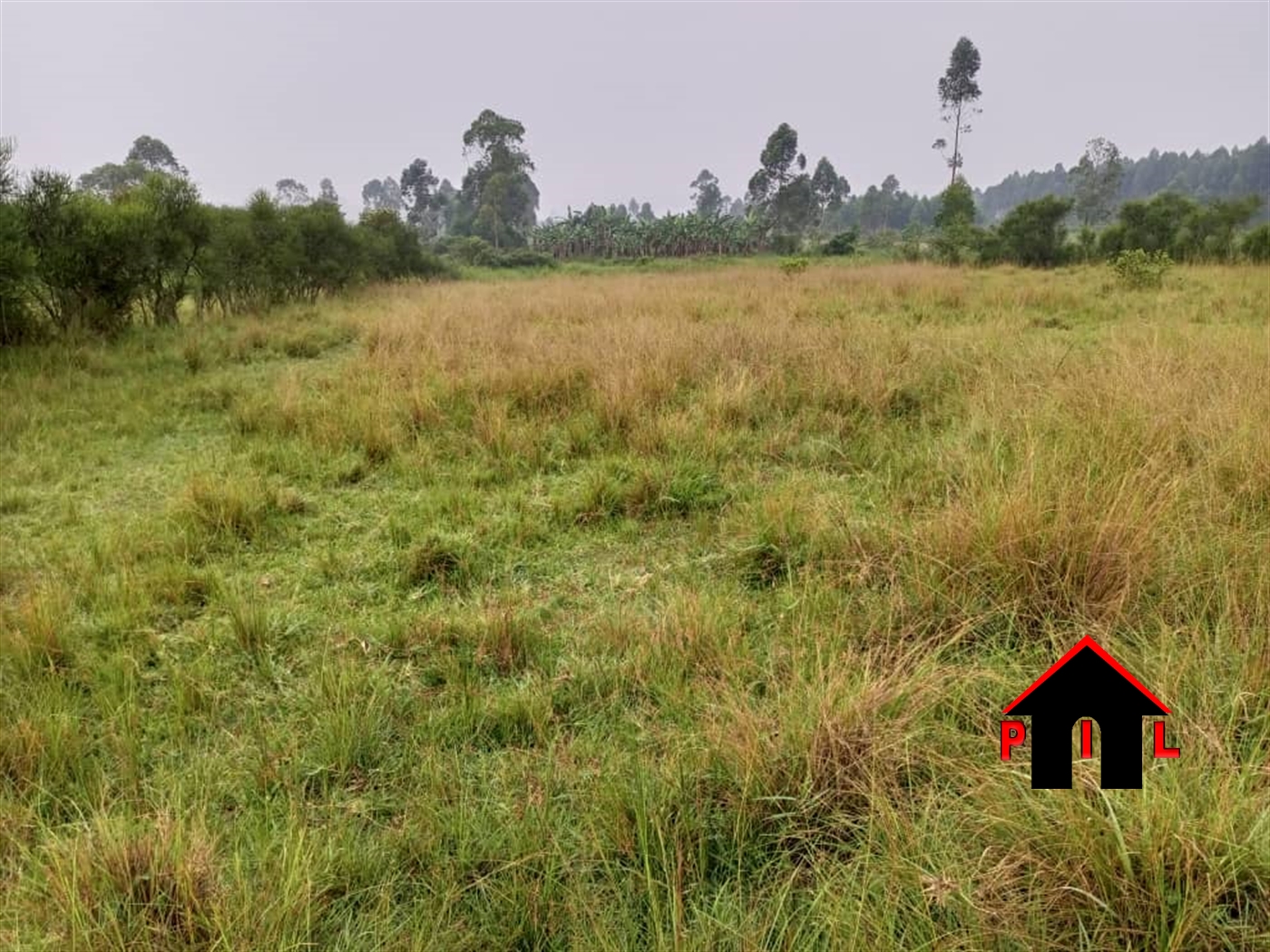 Agricultural Land for sale in Wobulenzi Luweero Uganda, code 177061
