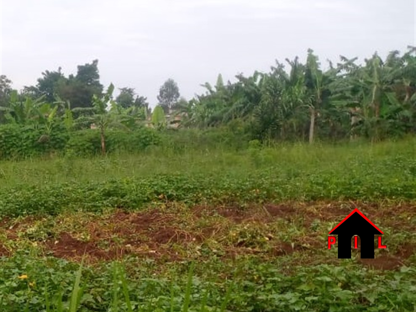 Agricultural Land for sale in Wobulenzi Luweero