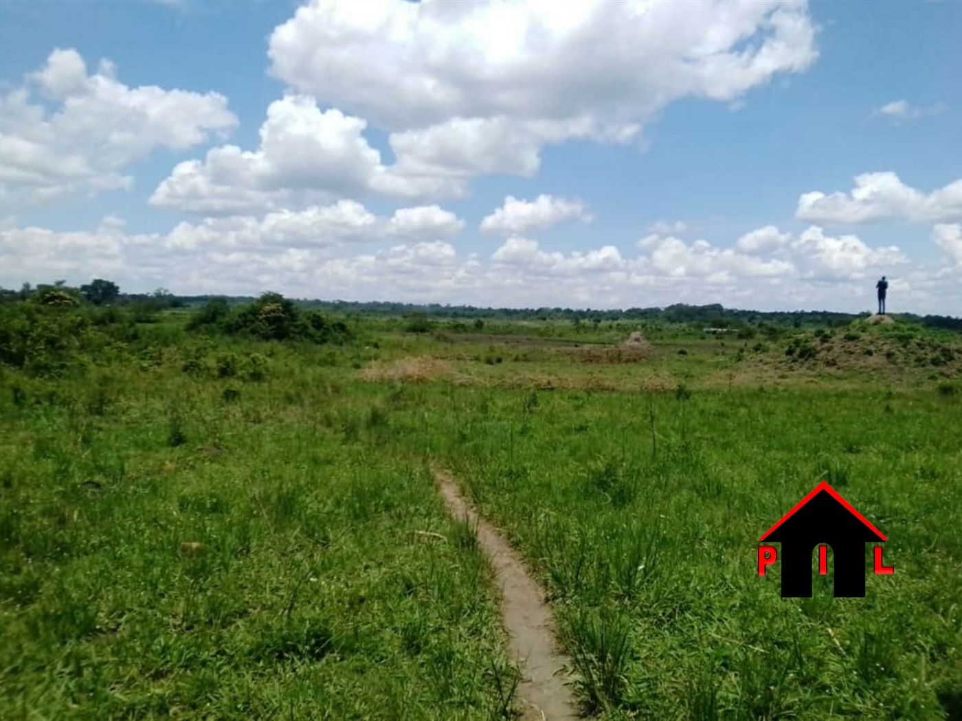 Agricultural Land for sale in Bugerere Kayunga