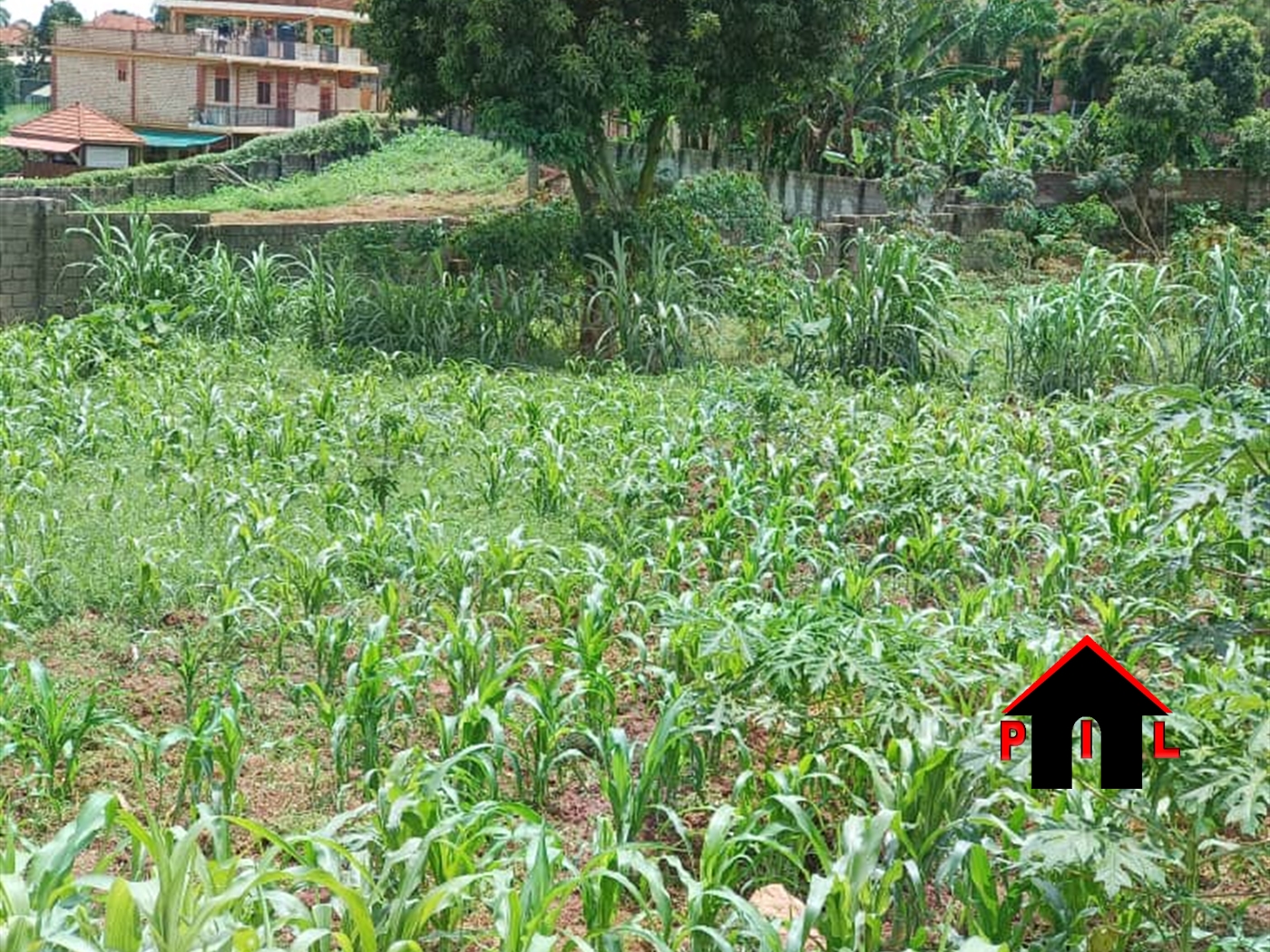 Commercial Land for sale in Lubowa Wakiso