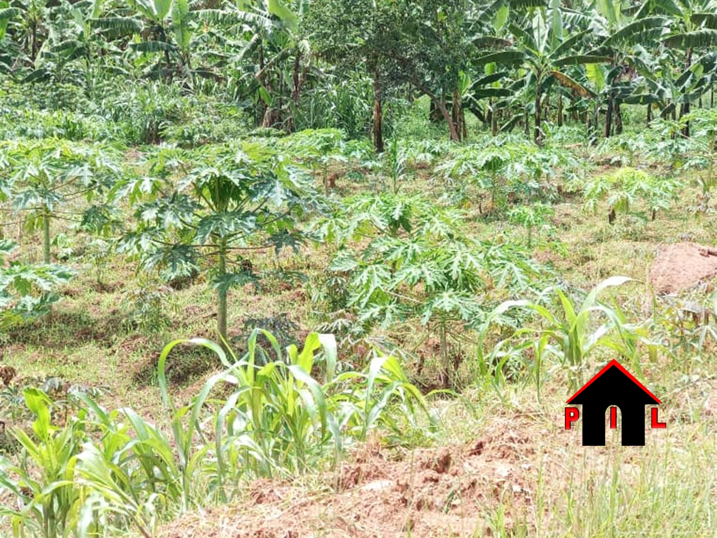 Commercial Land for sale in Lubowa Wakiso