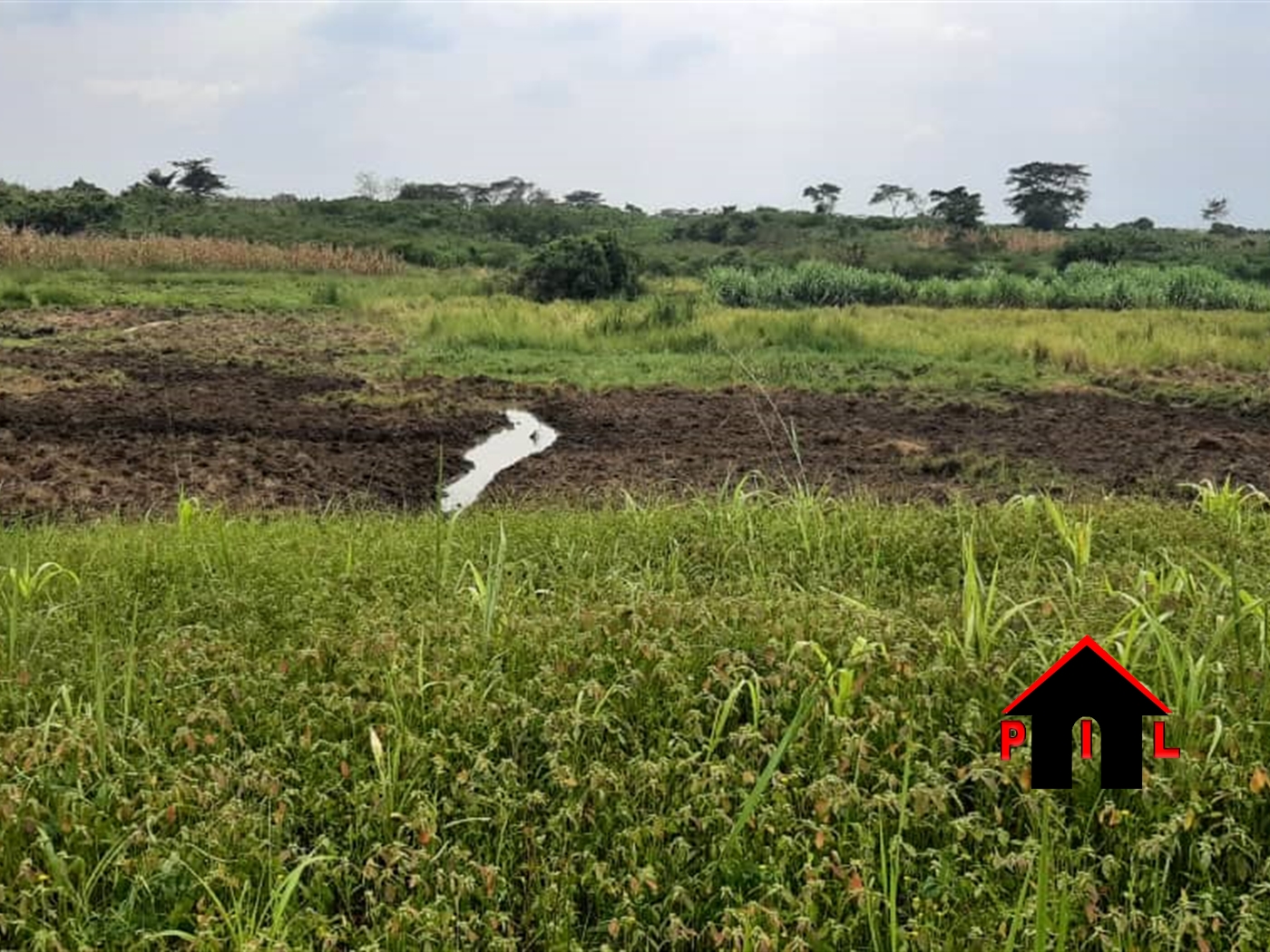 Agricultural Land for sale in Karuma Kiryandongo