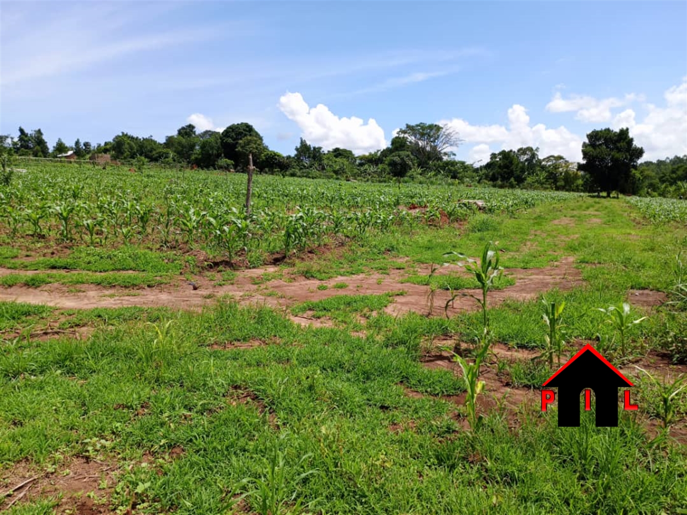 Residential Land for sale in Matugga Wakiso