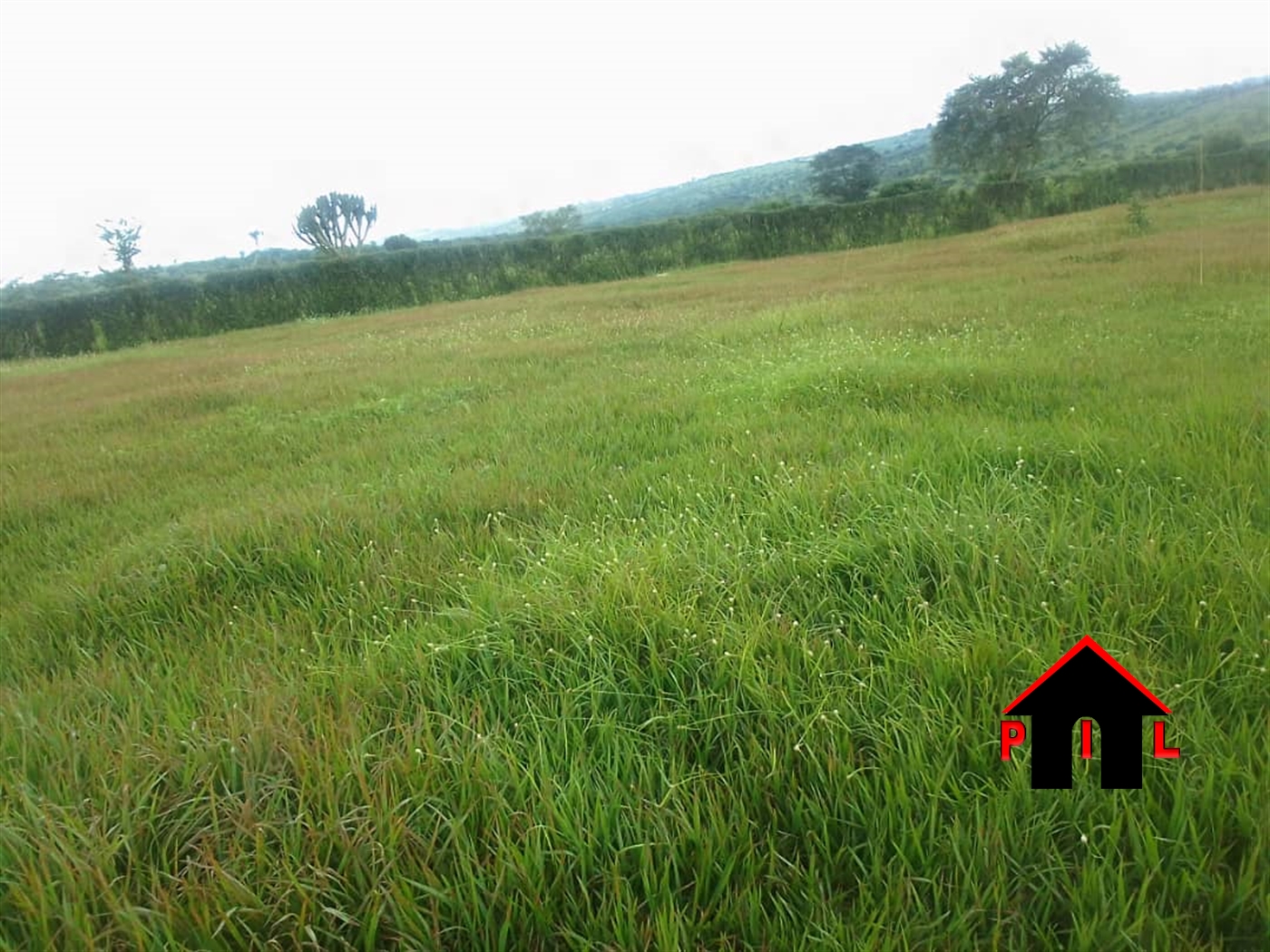 Farm for sale in Buwekwa Lyantonde