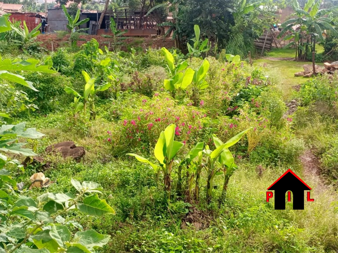 Residential Land for sale in Nabutii Mukono