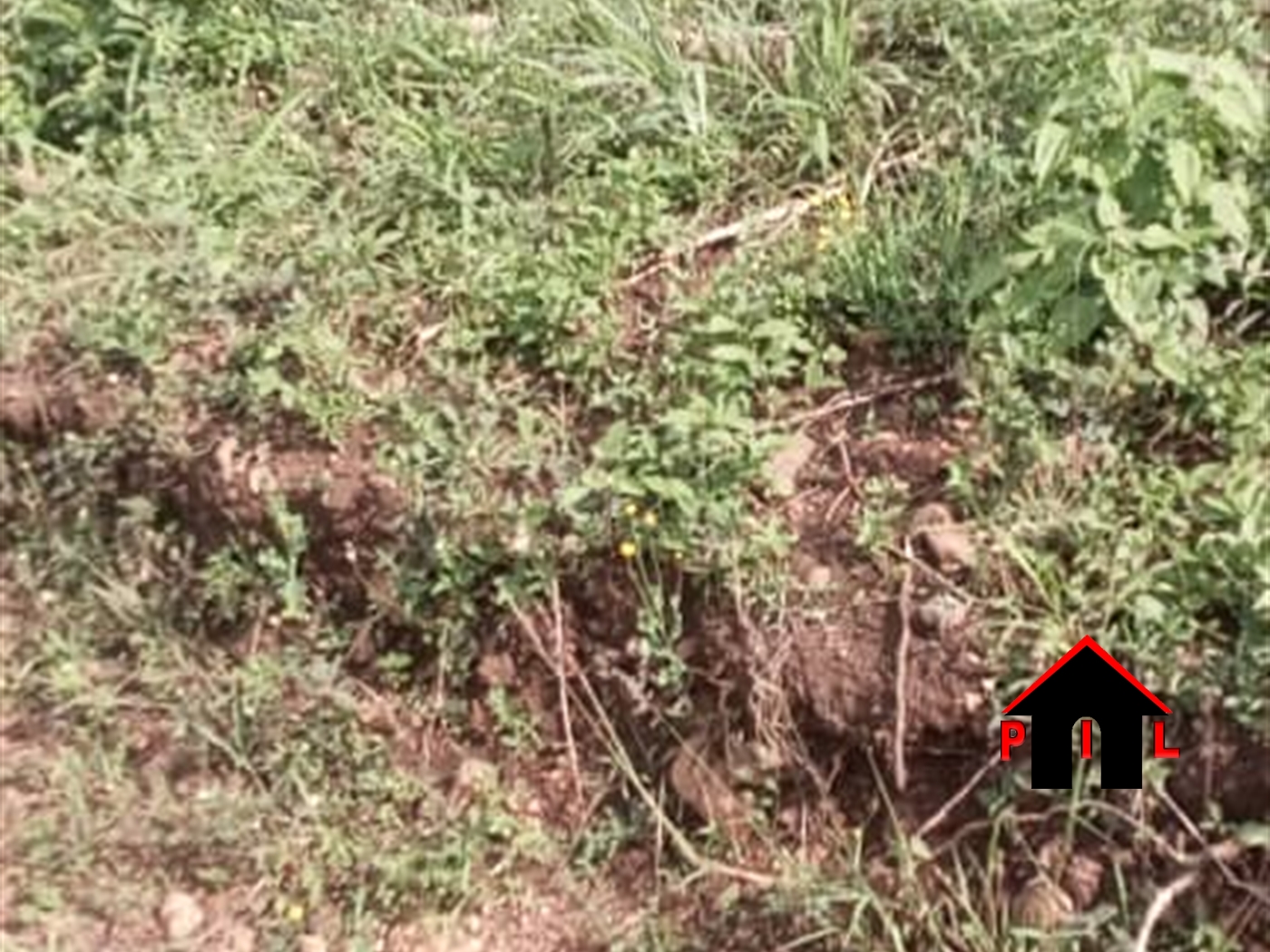 Agricultural Land for sale in Mairye Wakiso