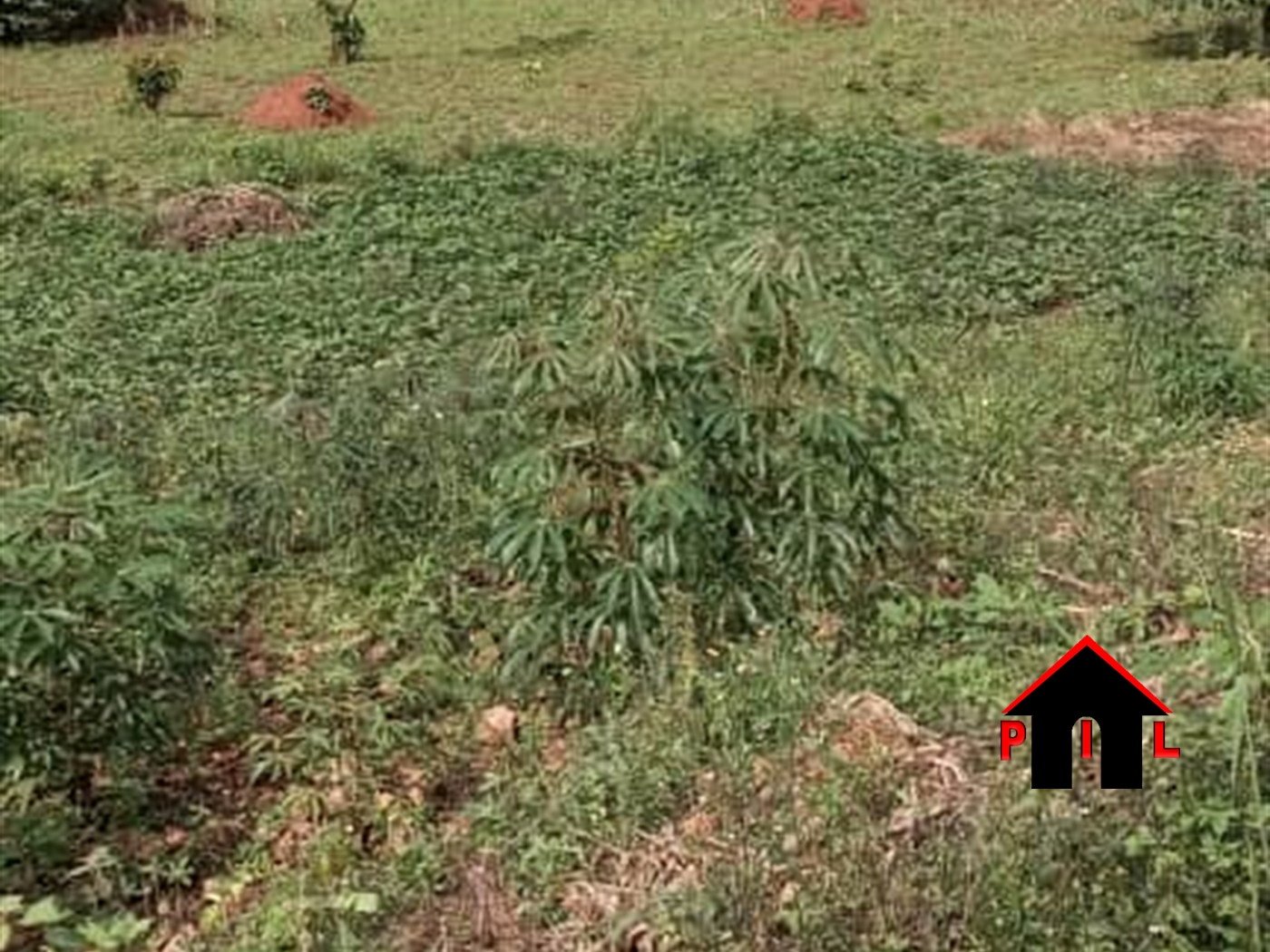 Agricultural Land for sale in Mairye Wakiso