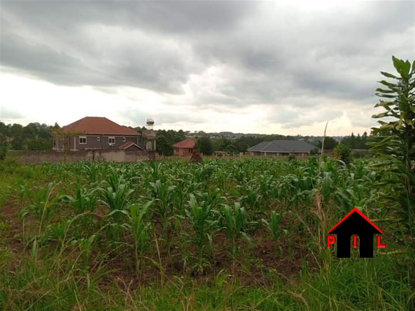 Residential Land for sale in Shimoni Wakiso