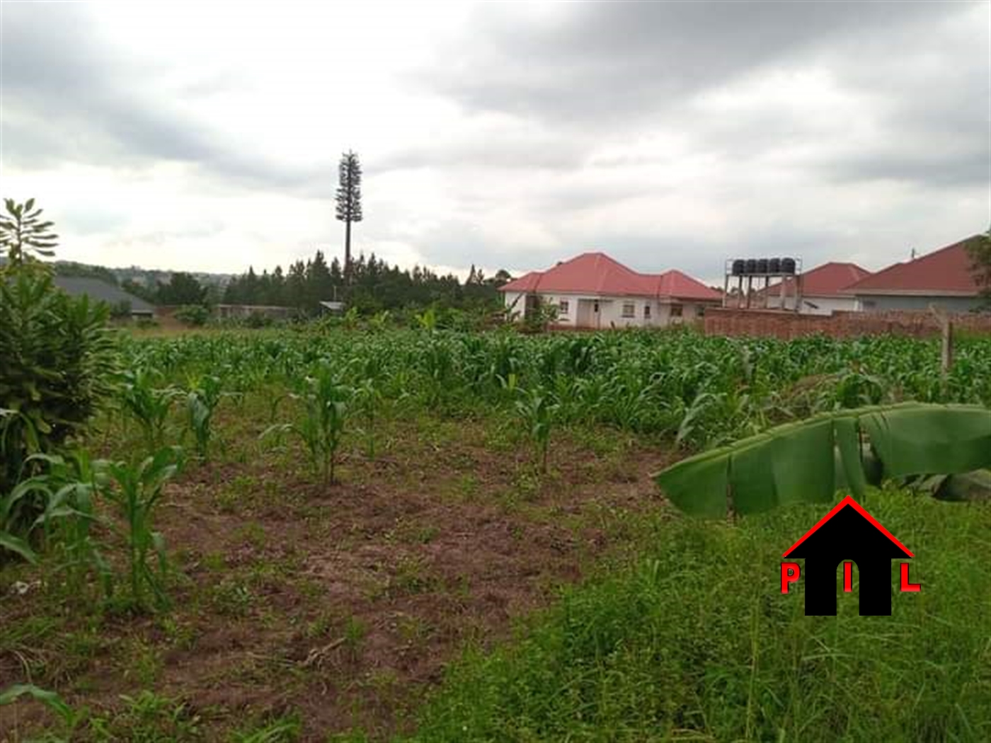 Residential Land for sale in Shimoni Wakiso