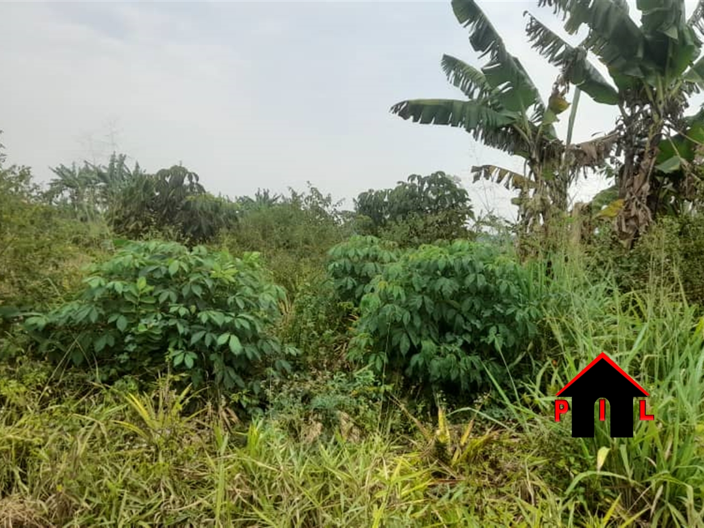 Agricultural Land for sale in Lukiizi Luweero