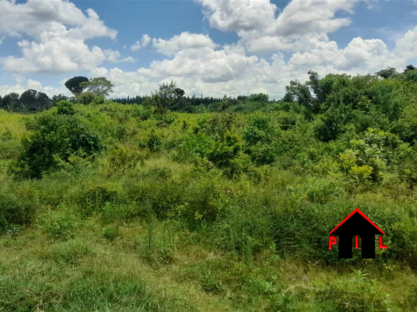 Agricultural Land for sale in Ngaaju Luweero