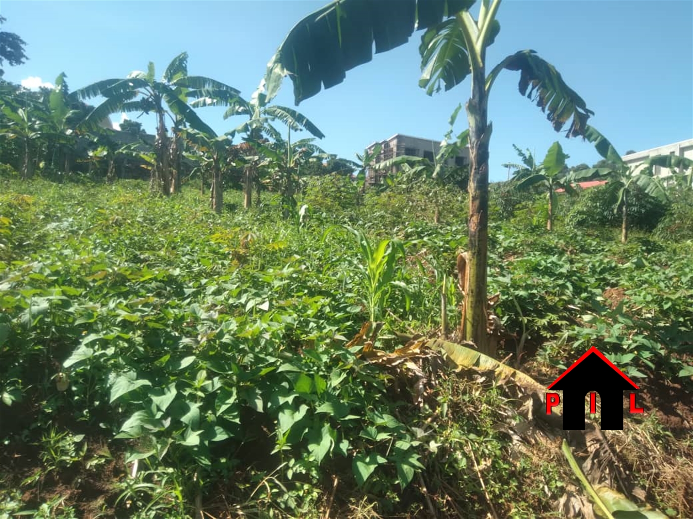 Commercial Land for sale in Nabusugwe Mukono