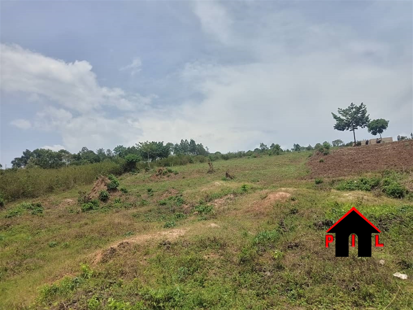 Commercial Land for sale in Ddundu Wakiso