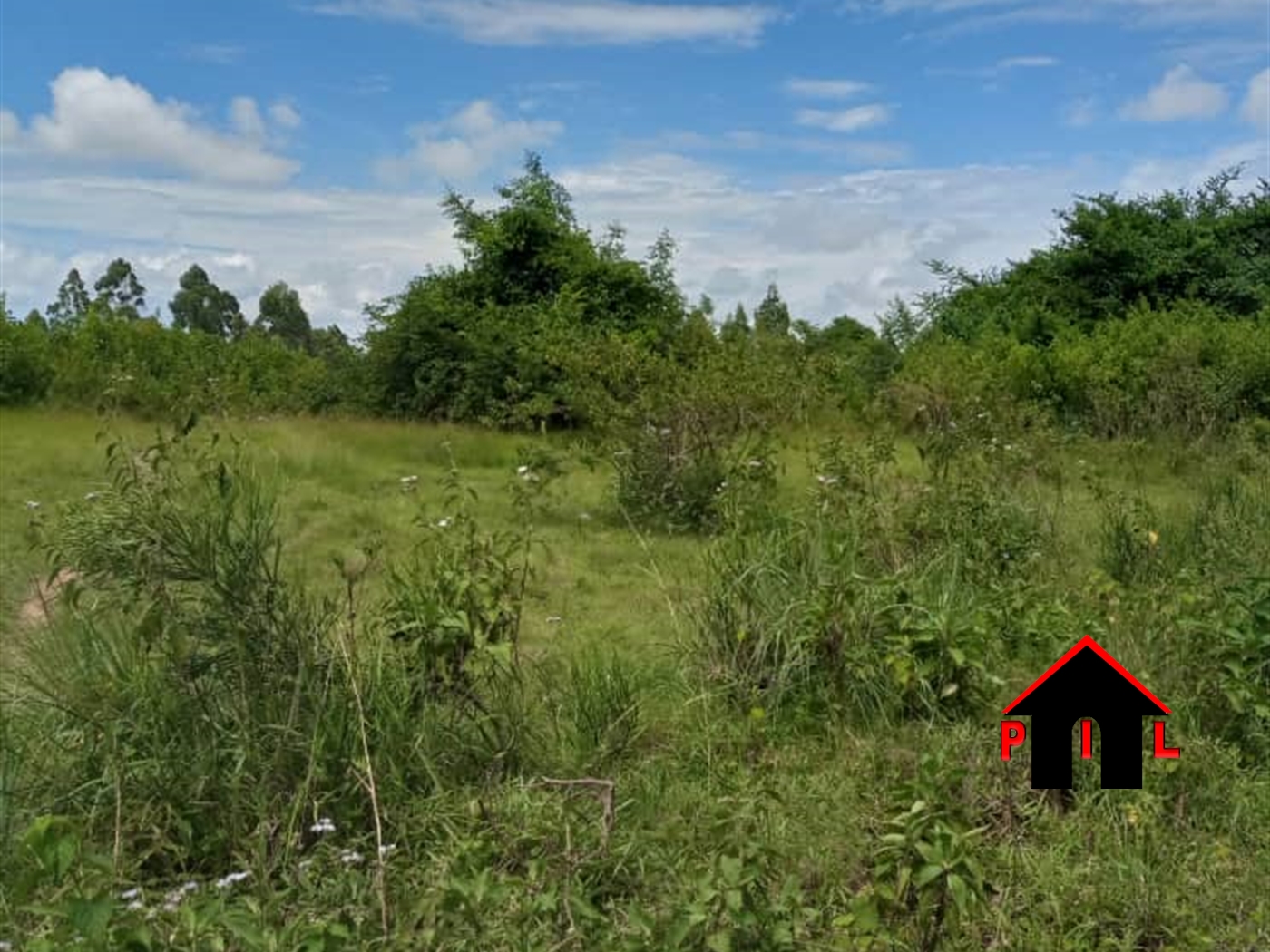 Agricultural Land for sale in Kabale Masaka