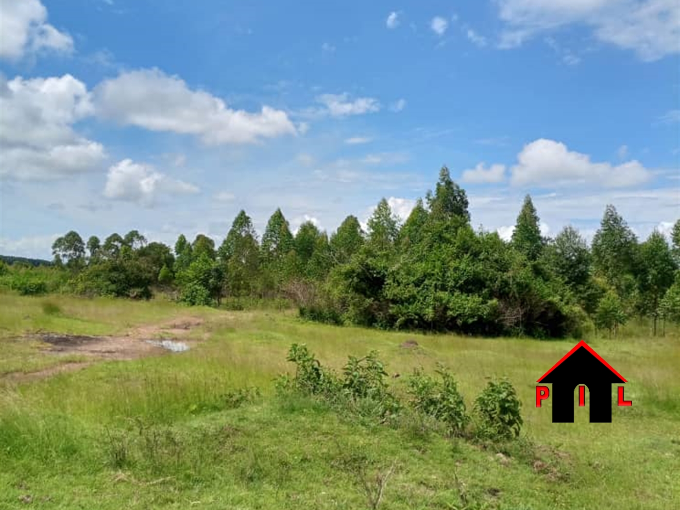 Agricultural Land for sale in Kabale Masaka