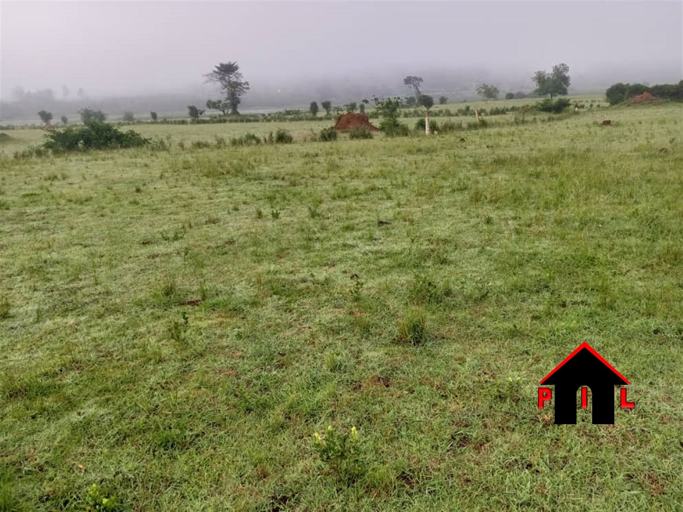 Agricultural Land for sale in Kizaara Kanungu
