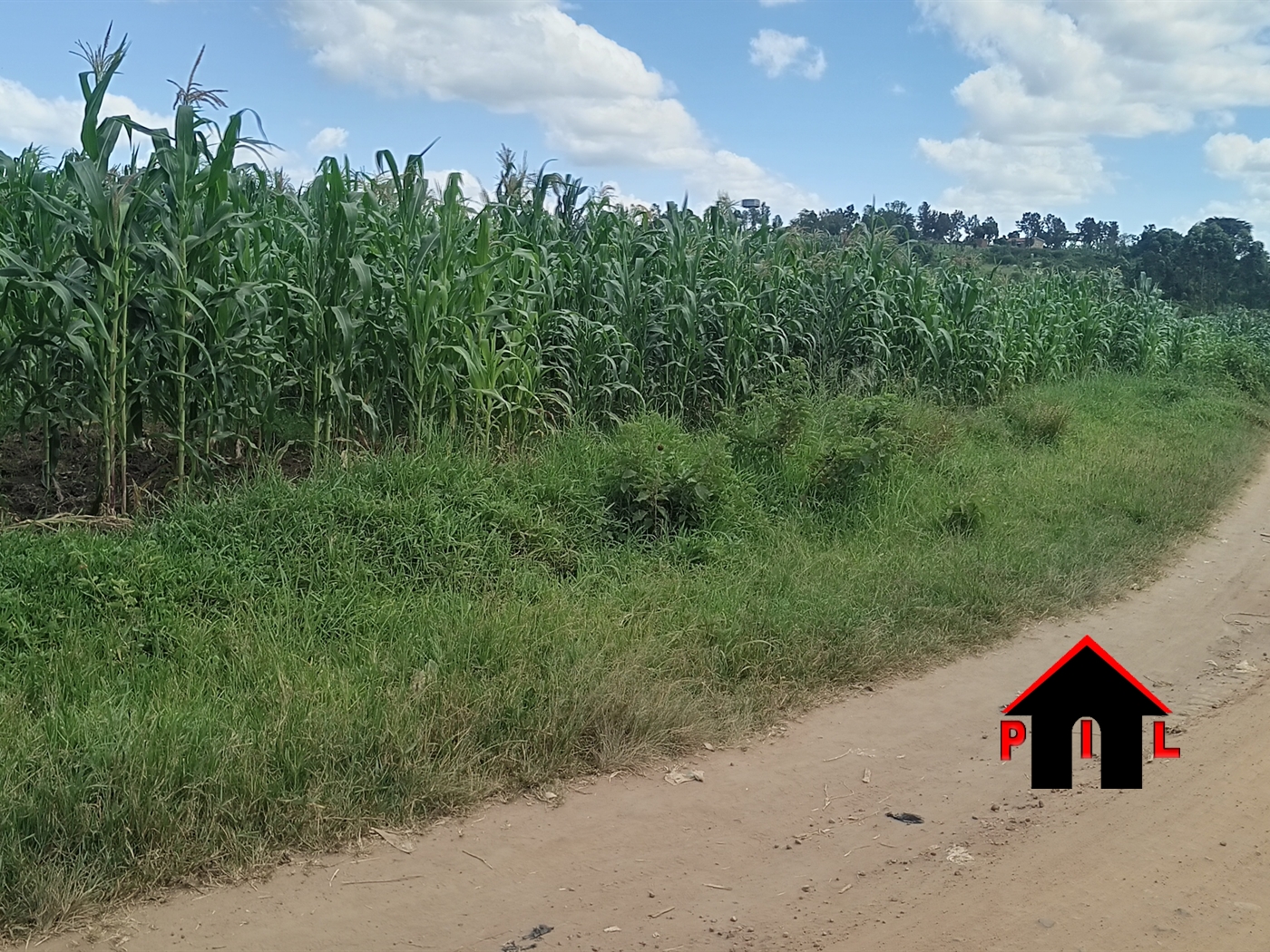 Agricultural Land for sale in Kabelebere Isingilo