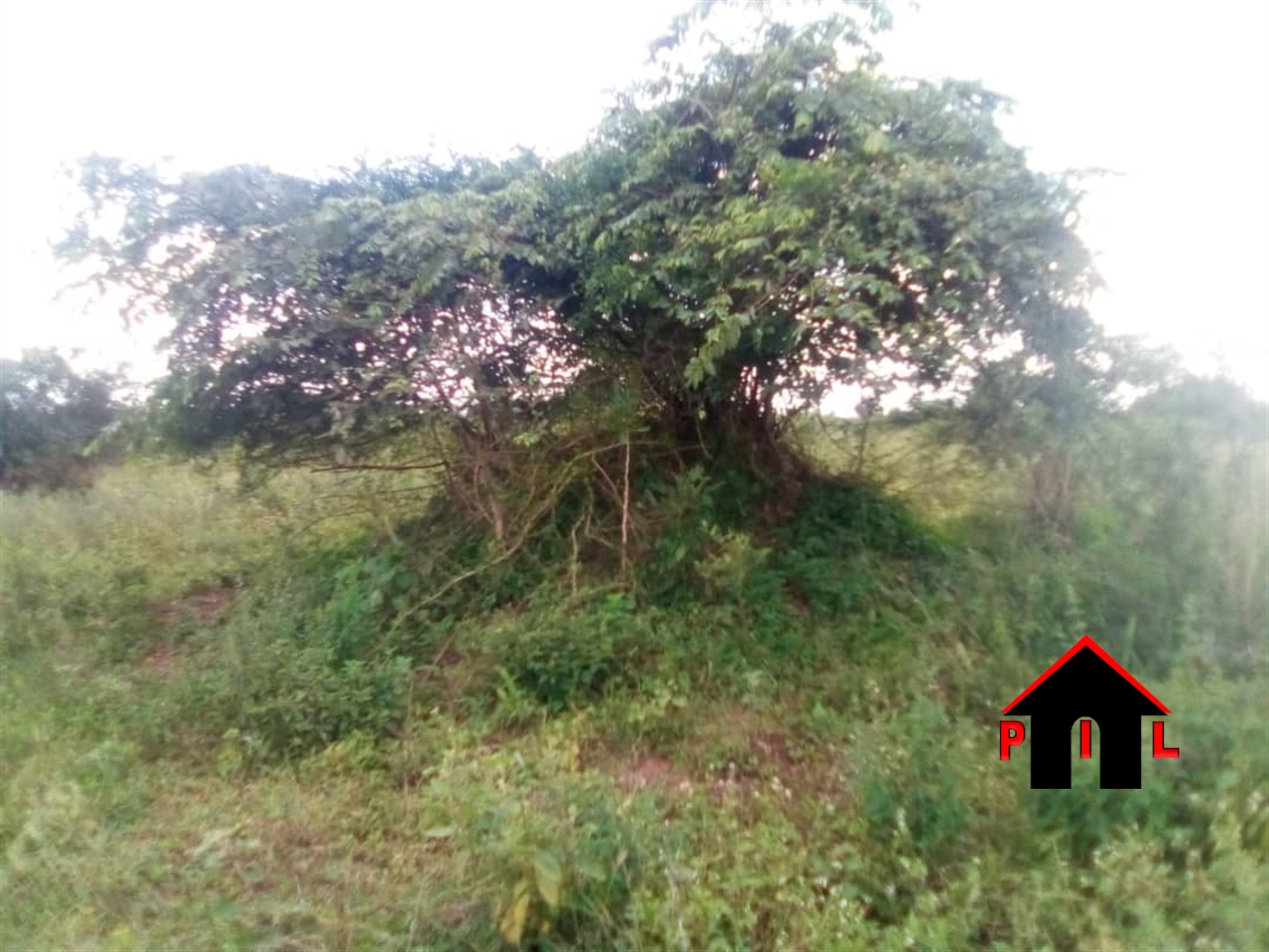 Commercial Land for sale in Kitwe Kayunga