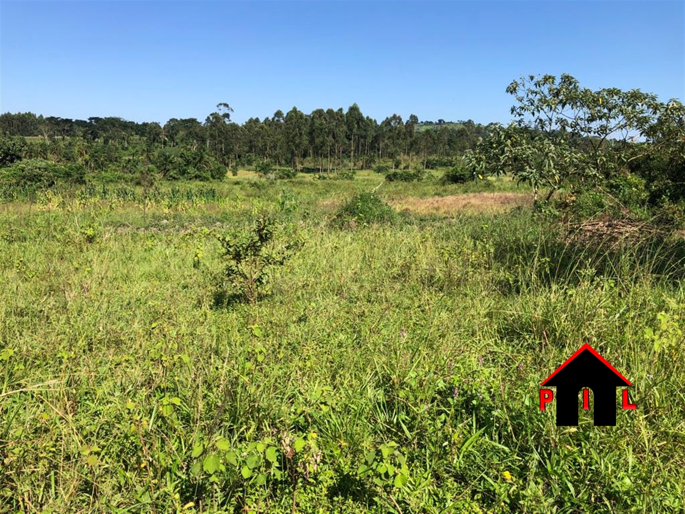 Agricultural Land for sale in Kawumu Luweero