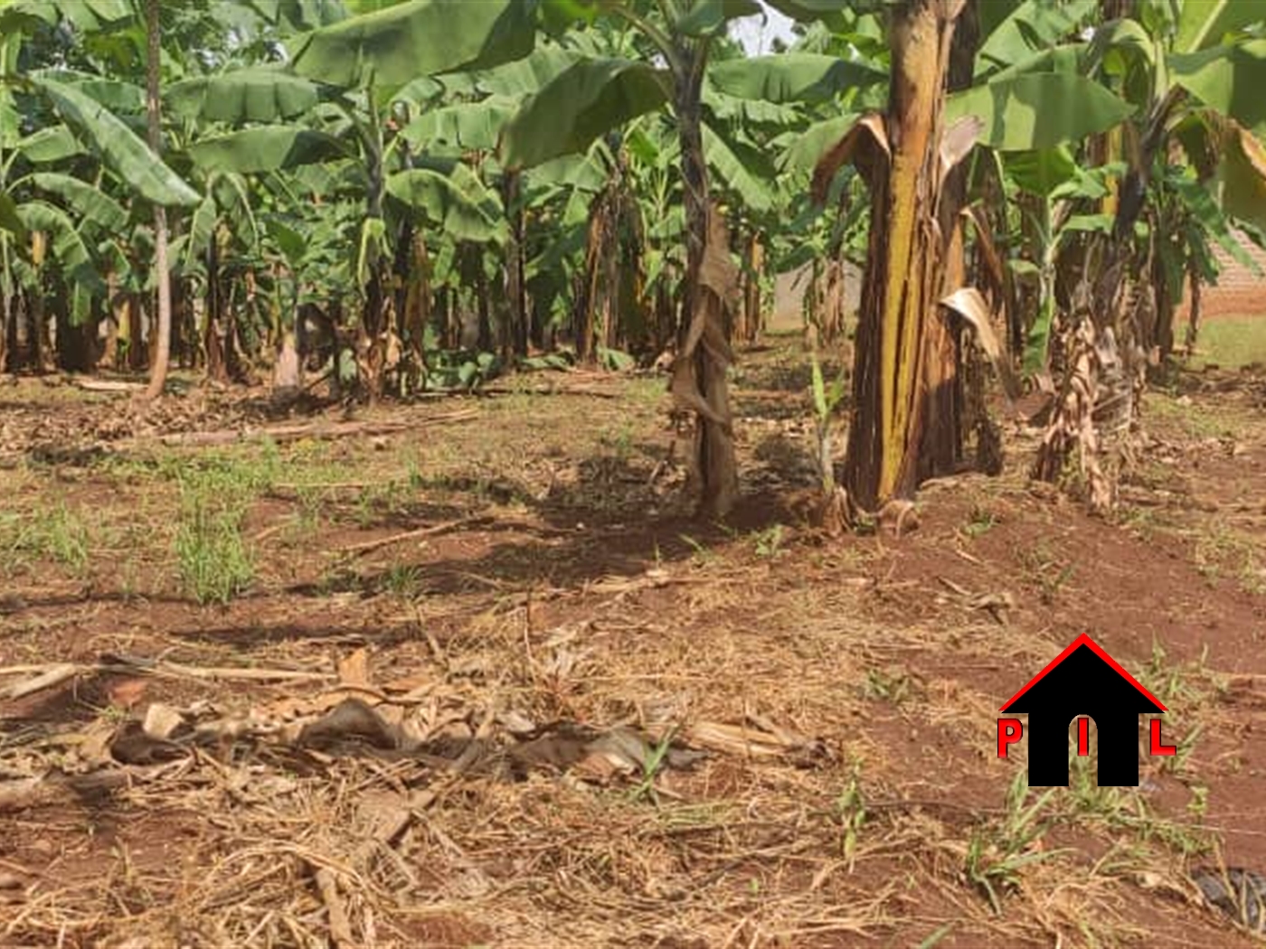Commercial Land for sale in Kigoowa Kampala