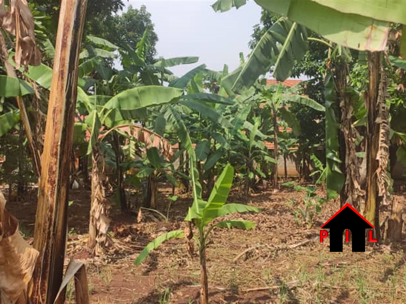 Commercial Land for sale in Kigoowa Kampala