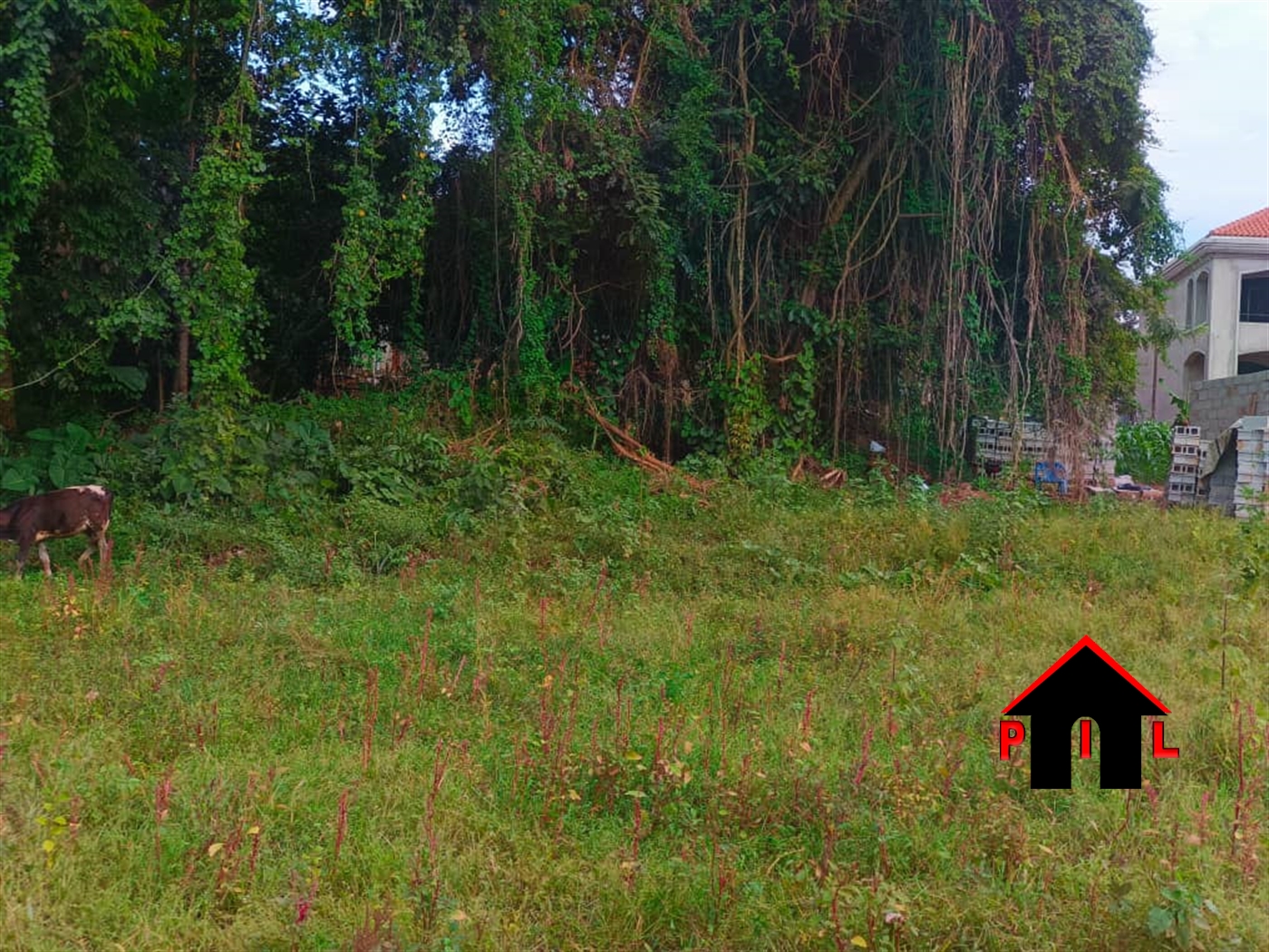 Commercial Land for sale in Kira Wakiso