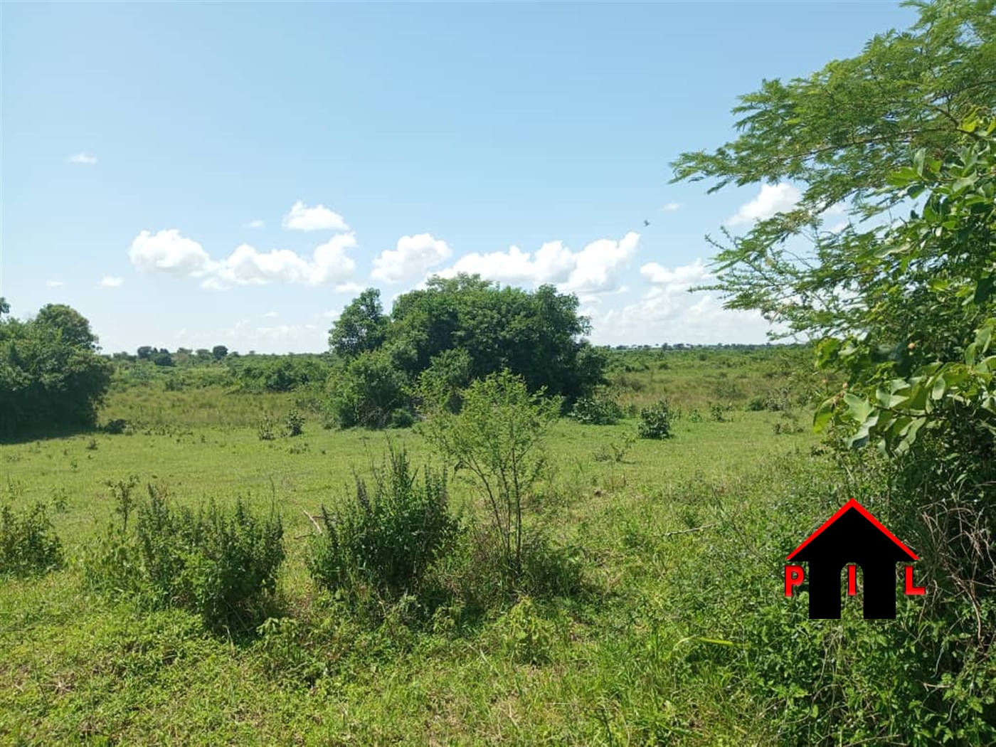 Agricultural Land for sale in Kyenda Kiboga