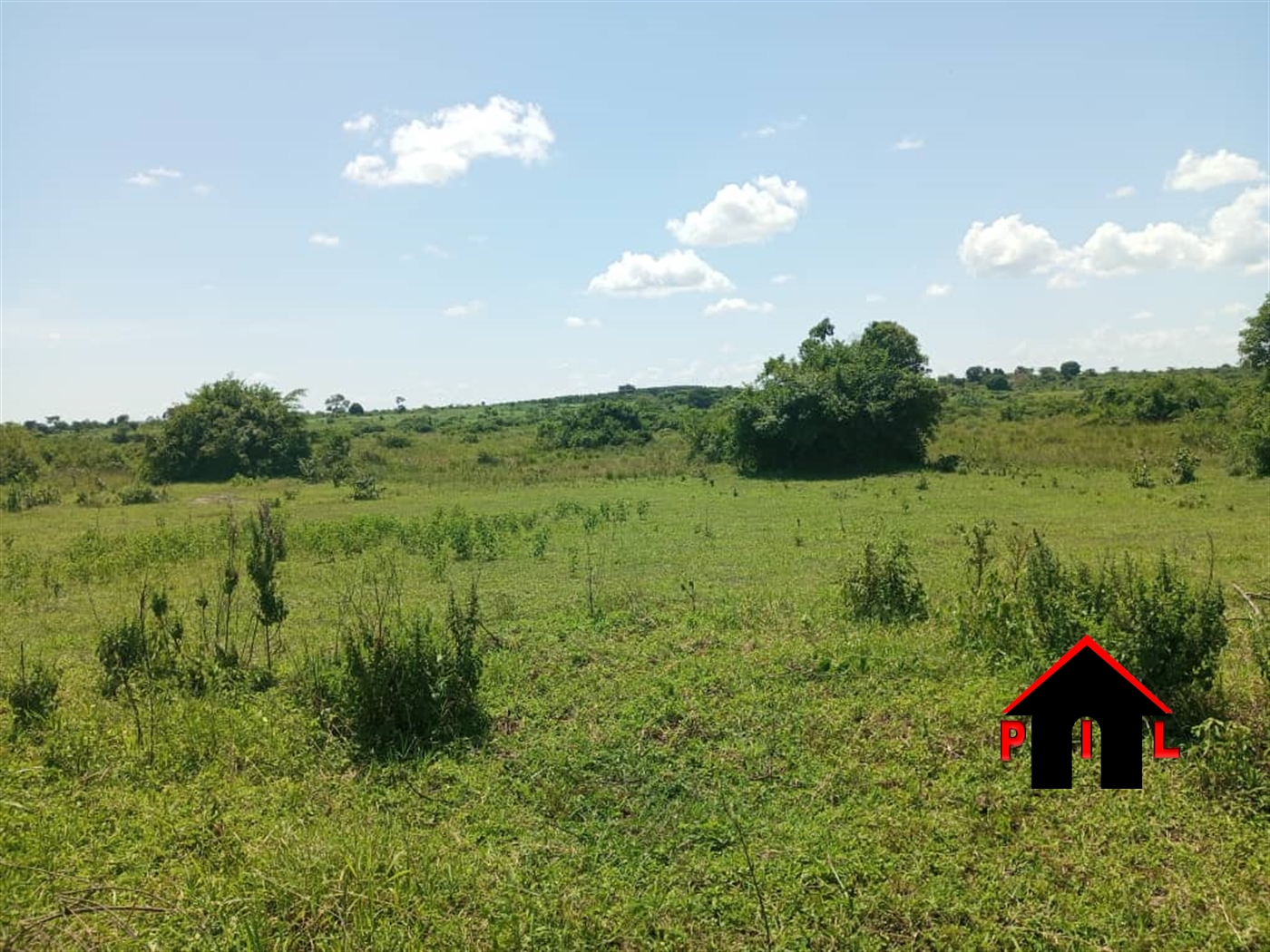 Agricultural Land for sale in Kyenda Kiboga