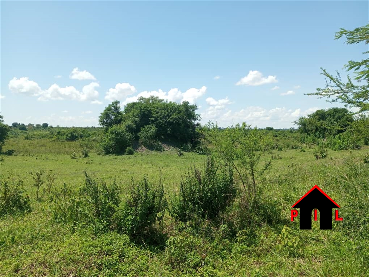 Agricultural Land for sale in Kyenda Kiboga