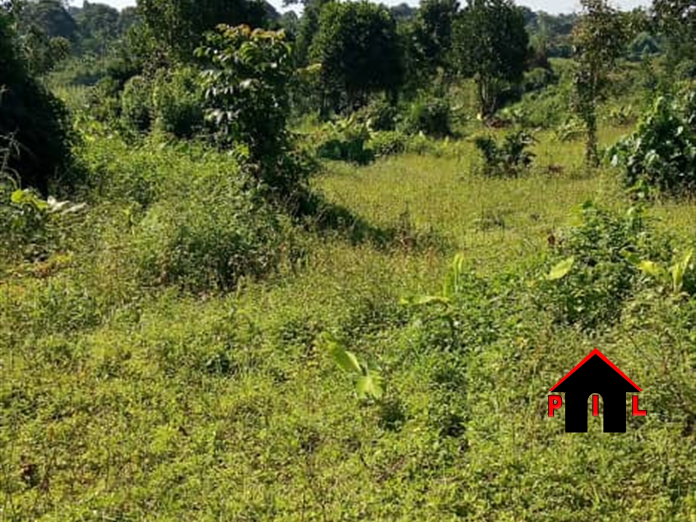 Commercial Land for sale in Kaseenene Wakiso