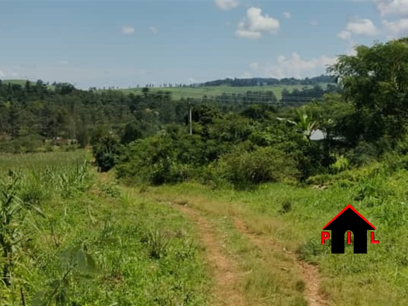 Commercial Land for sale in Kitega Buyikwe