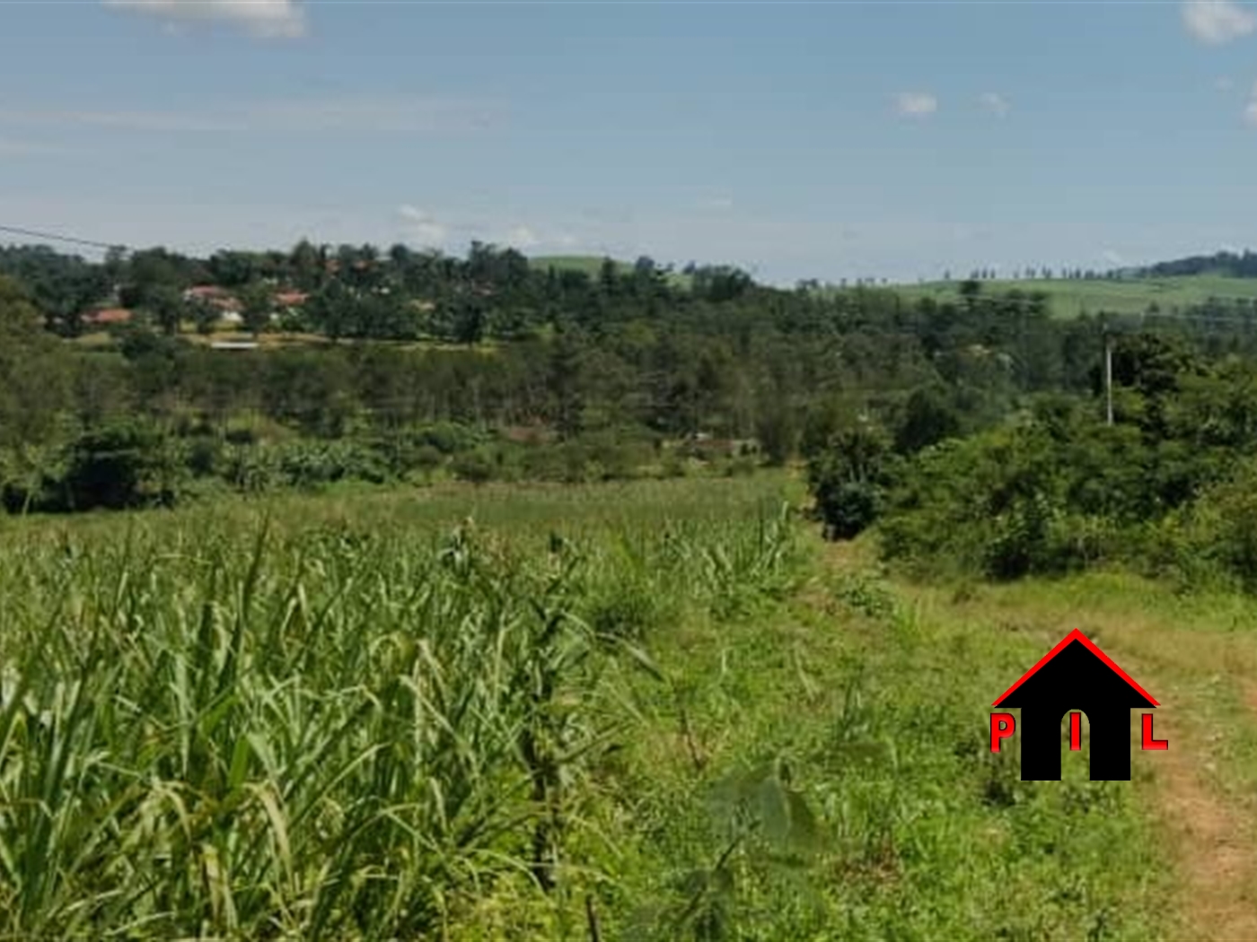 Commercial Land for sale in Kitega Buyikwe
