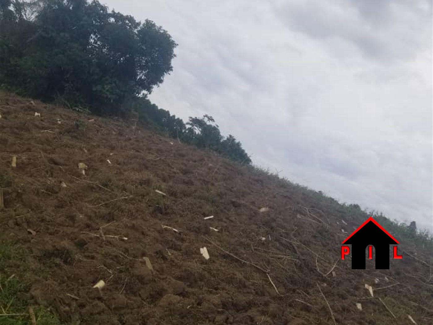 Agricultural Land for sale in Buyege Wakiso