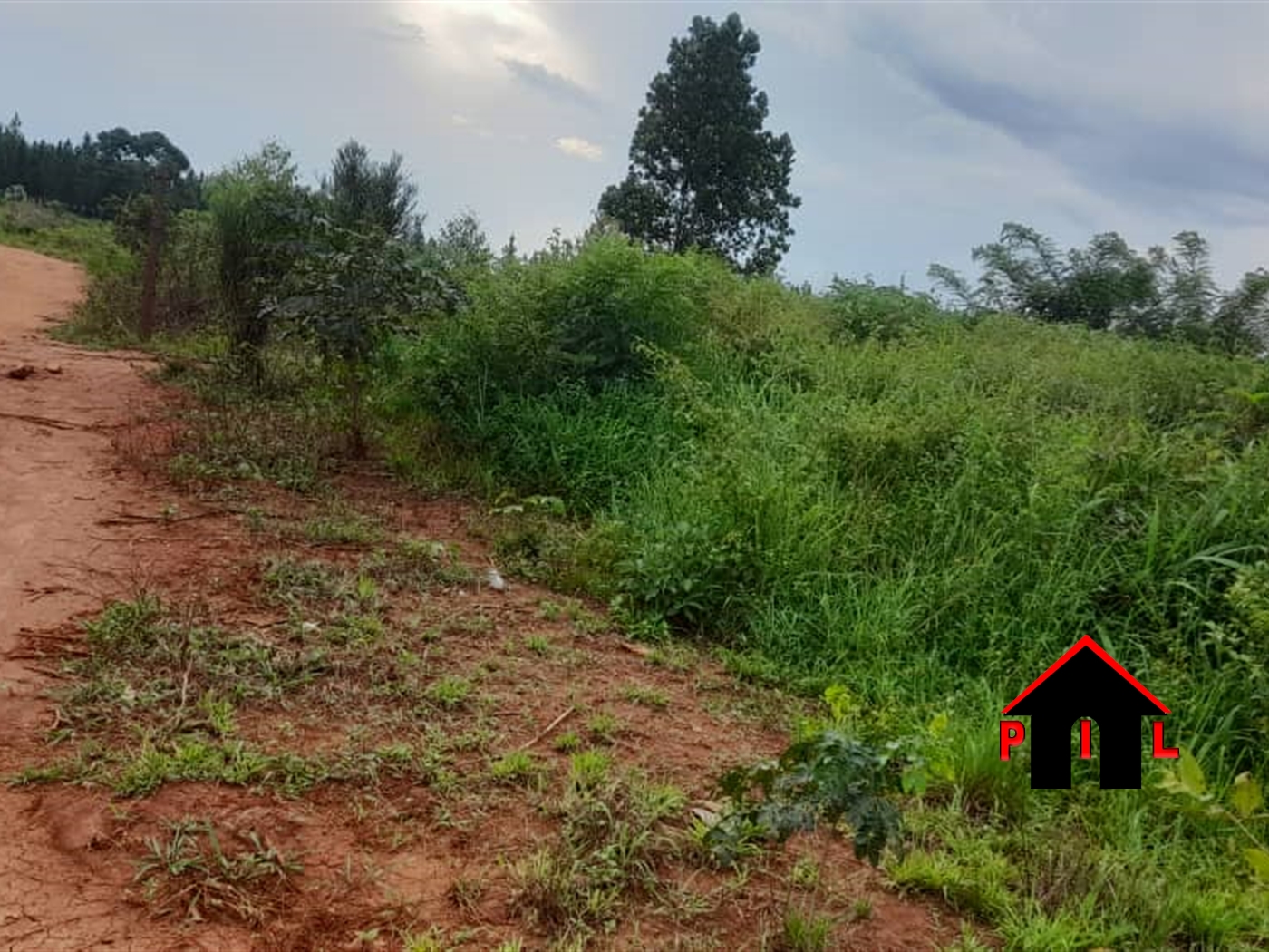 Agricultural Land for sale in Ndibulungi Luweero