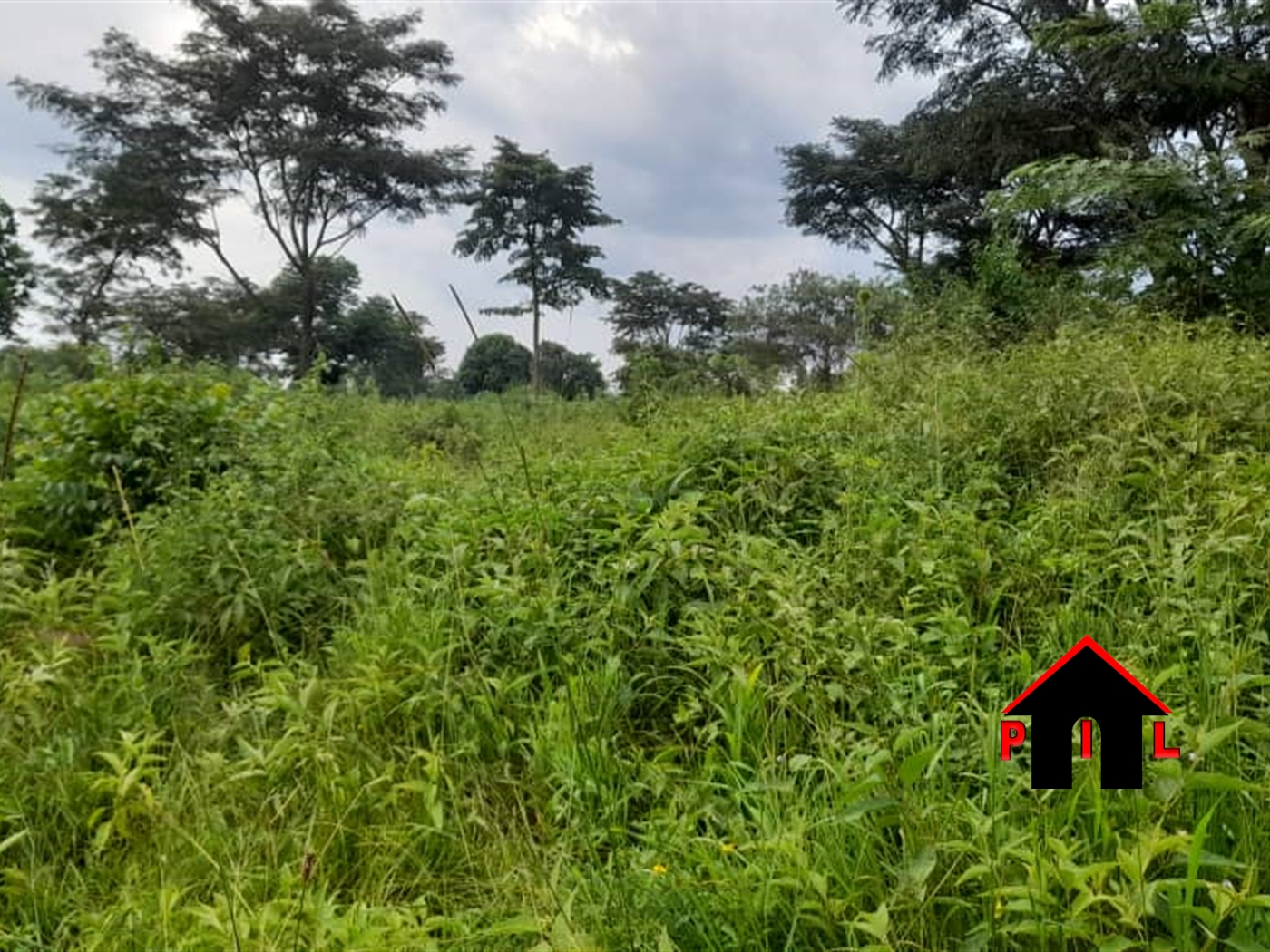 Agricultural Land for sale in Ndibulungi Luweero