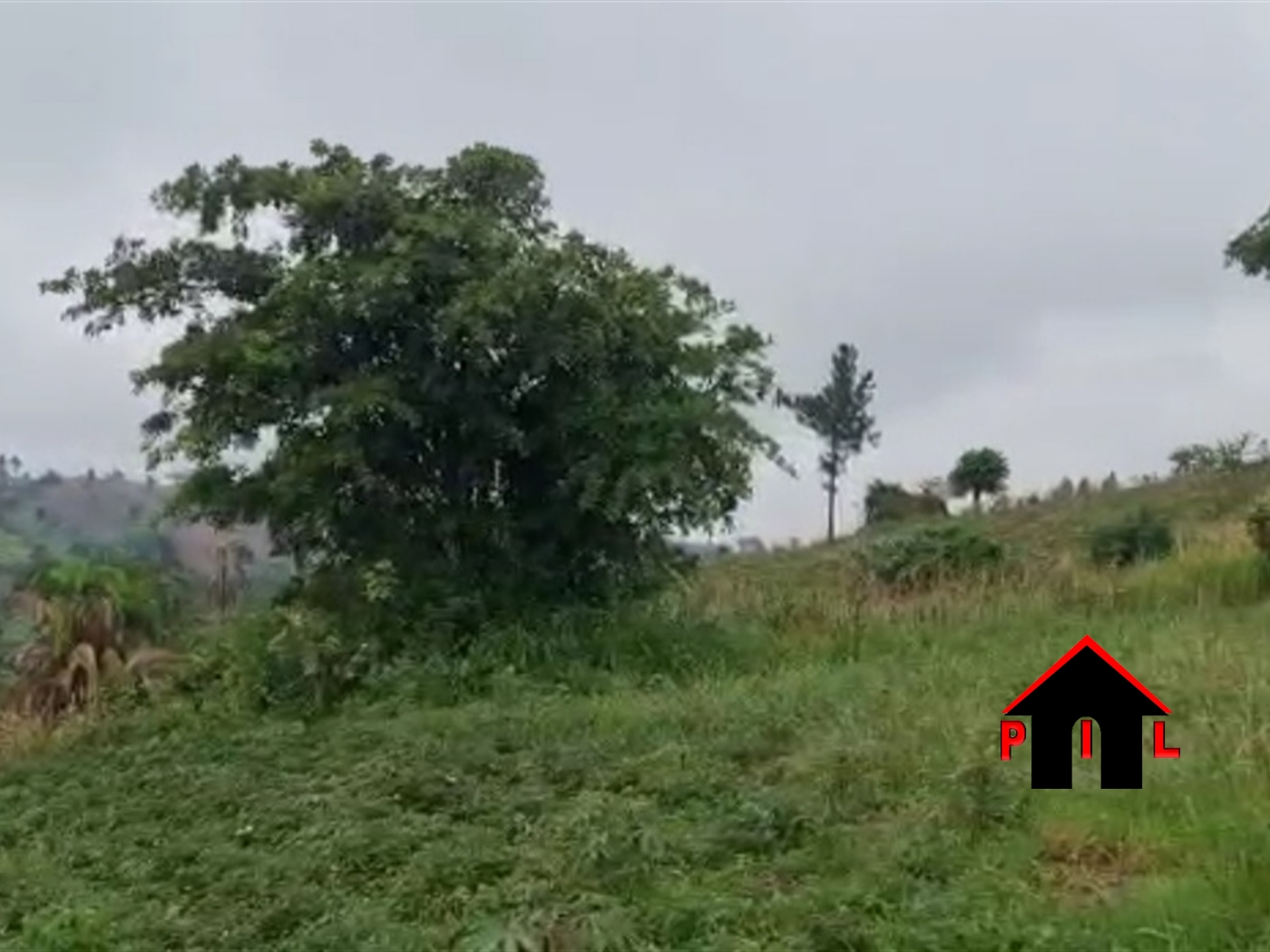 Agricultural Land for sale in Buswa Mubende