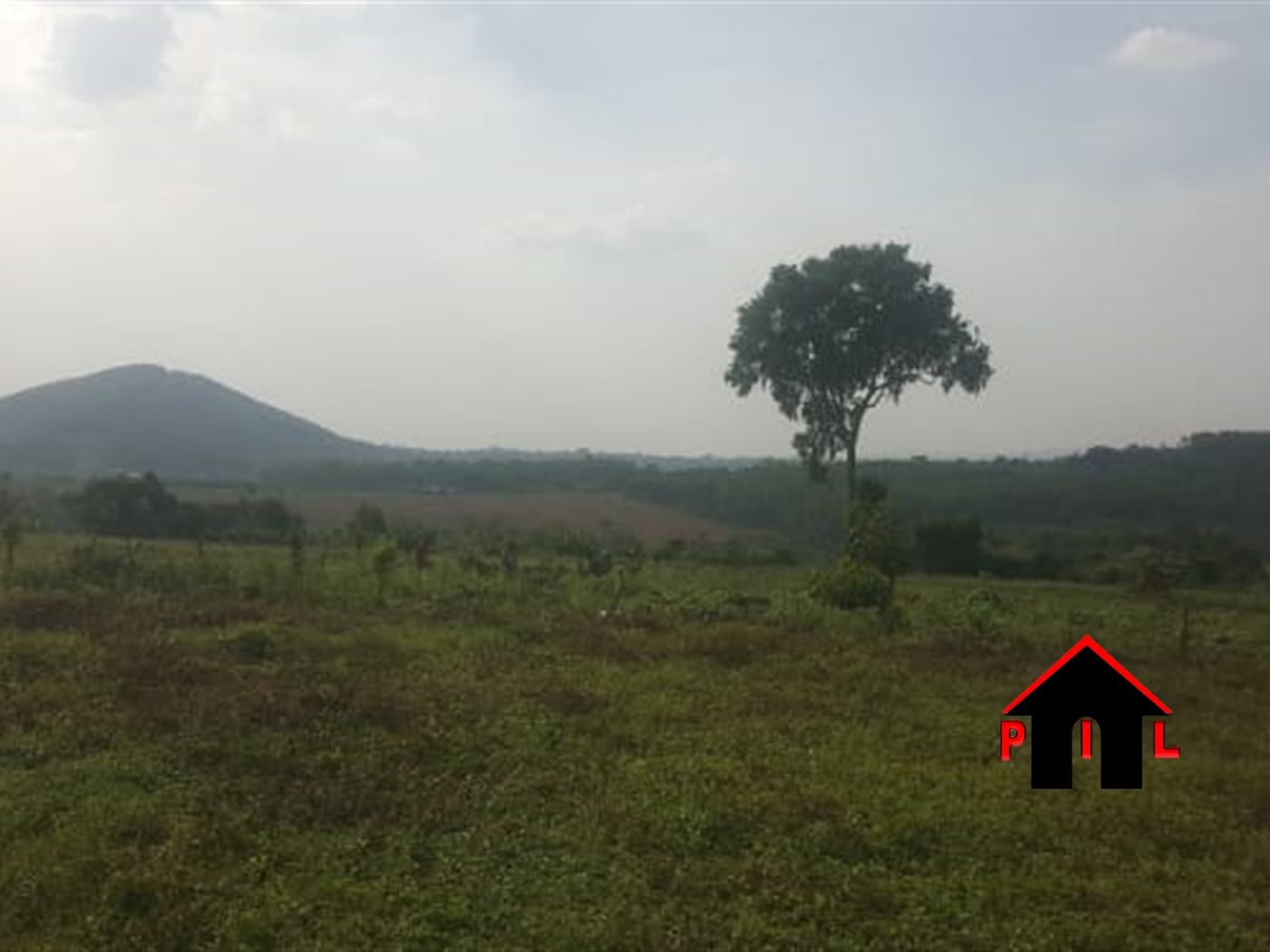 Commercial Land for sale in Jokolela Kampala