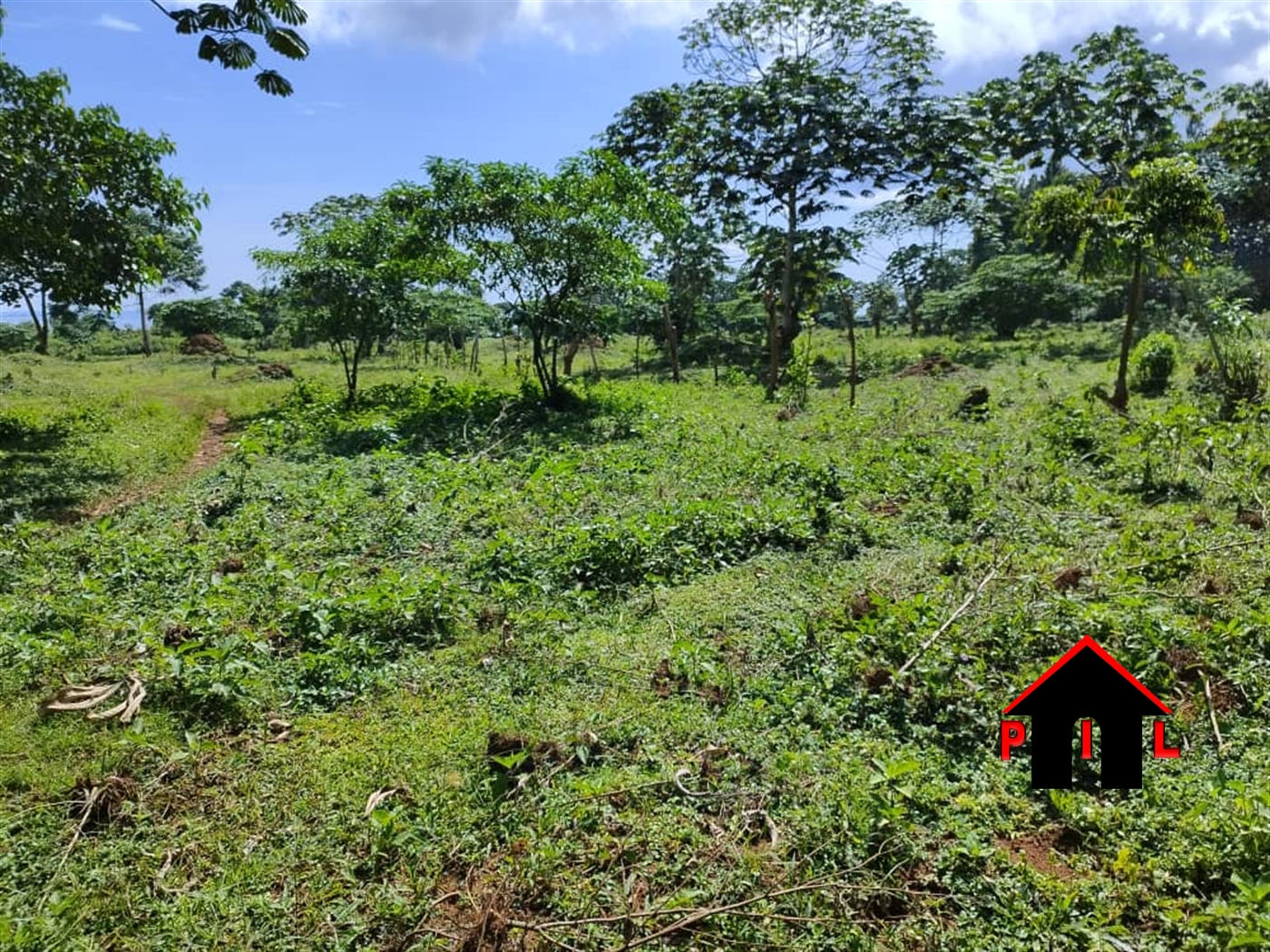 Agricultural Land for sale in Bukuya Kasanda